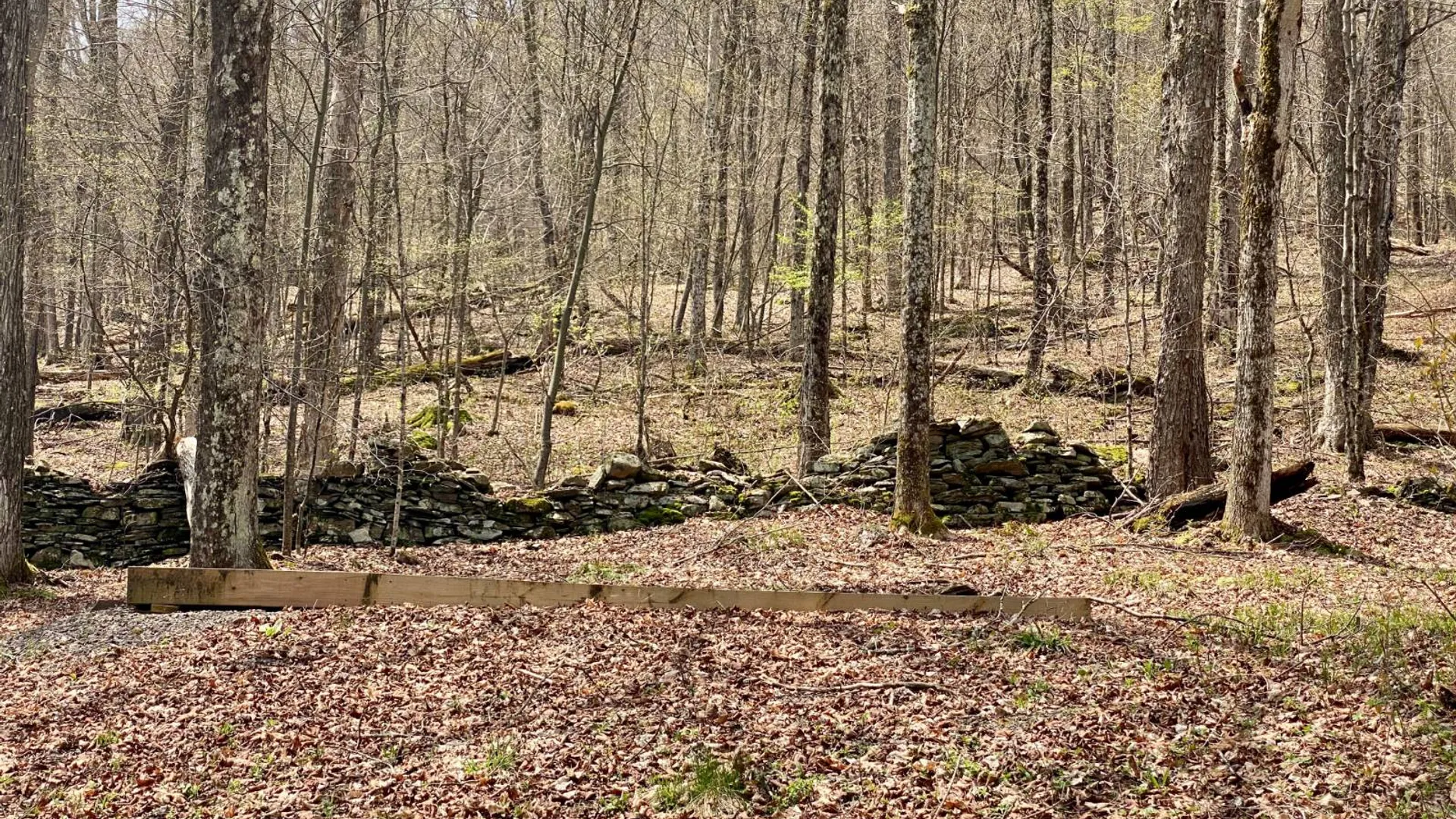 Property at 277 Seedorf Rd, Bovina, NY 13740 19