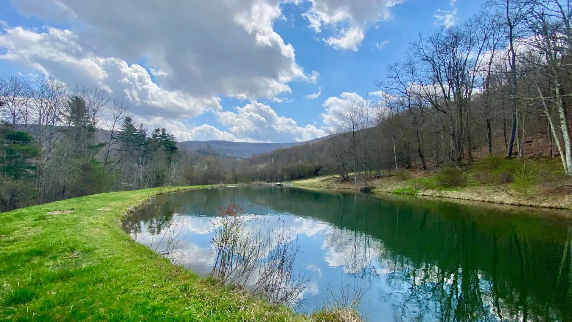 Property at 277 Seedorf Rd, Bovina, NY 13740 2