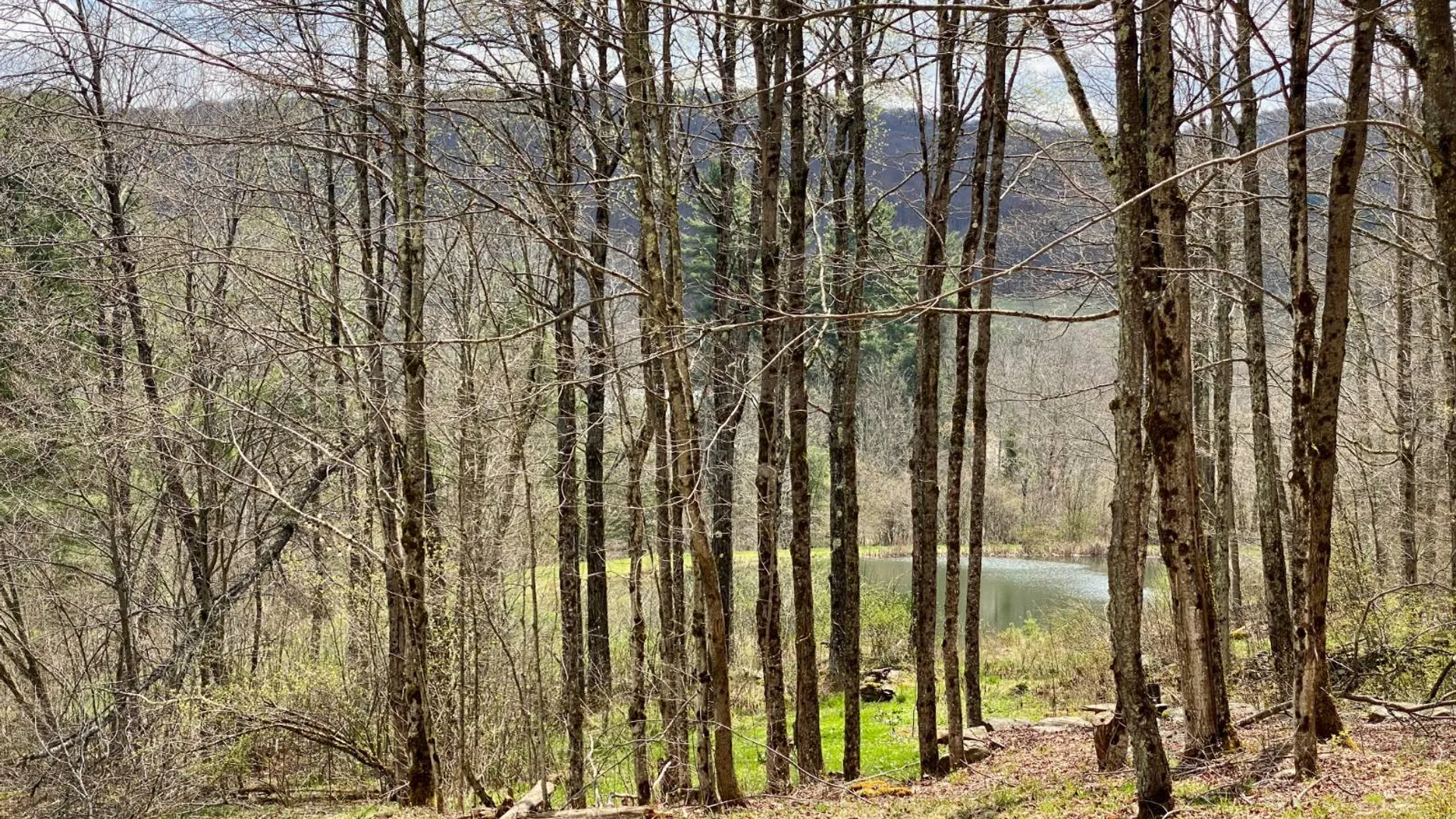 Property at 277 Seedorf Rd, Bovina, NY 13740 20