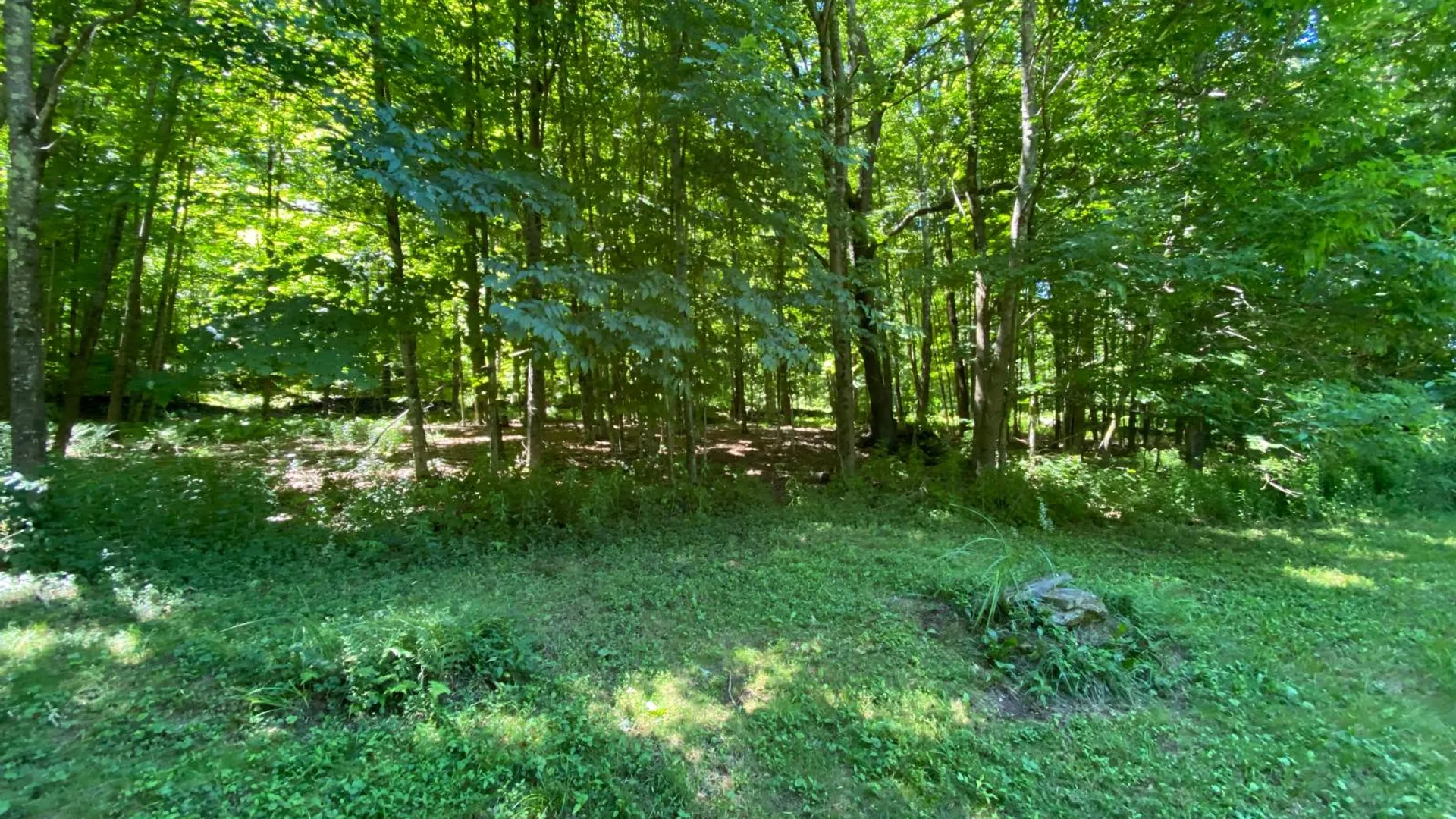 Property at 277 Seedorf Rd, Bovina, NY 13740 30