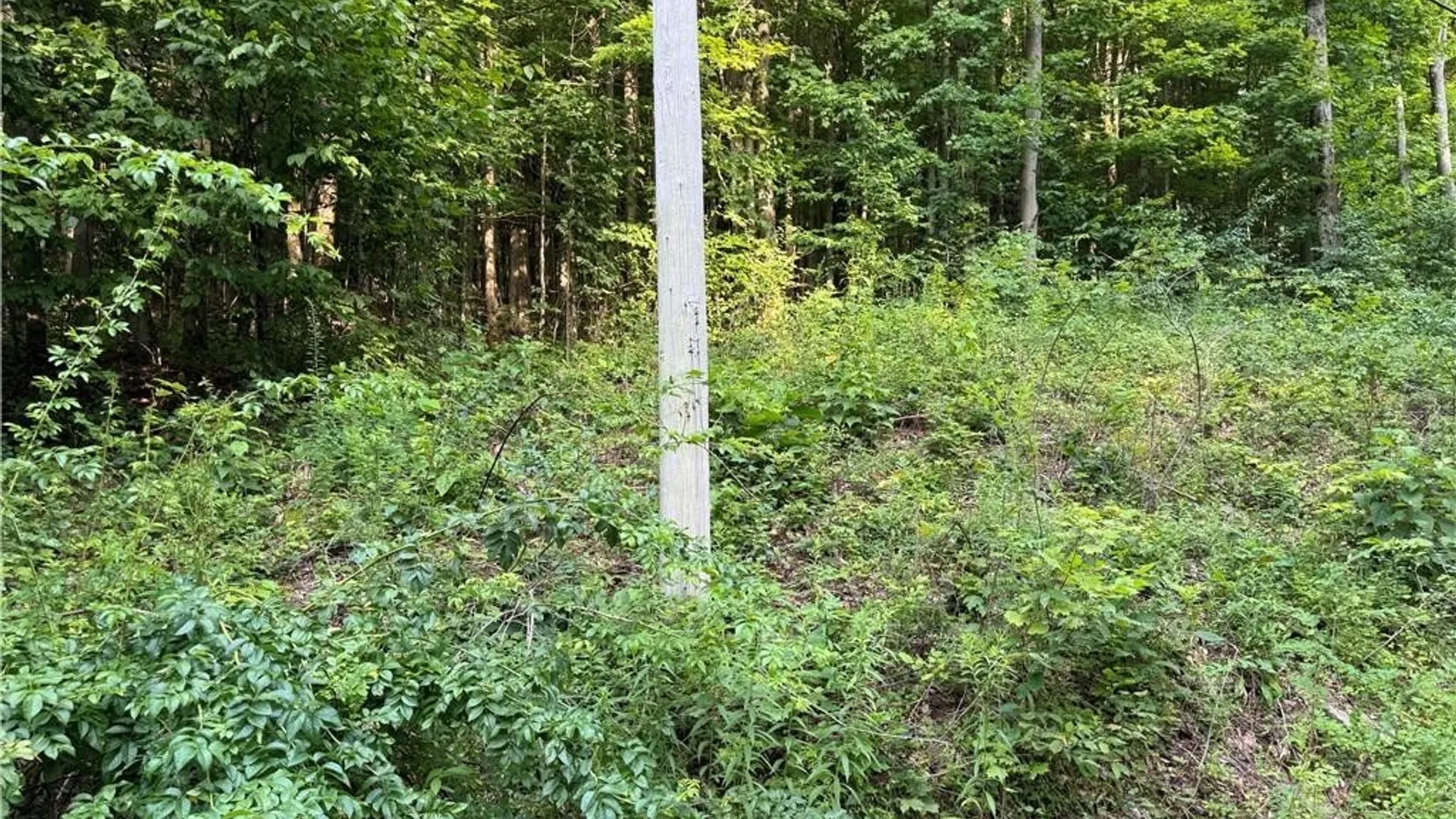 Property at 9 Creek Ridge Road, Ellicottville, NY 14731 10