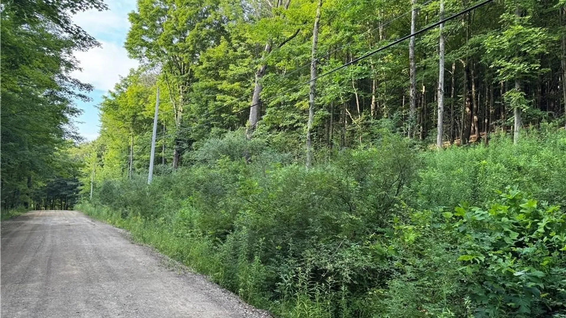 Property at 9 Creek Ridge Road, Ellicottville, NY 14731 12