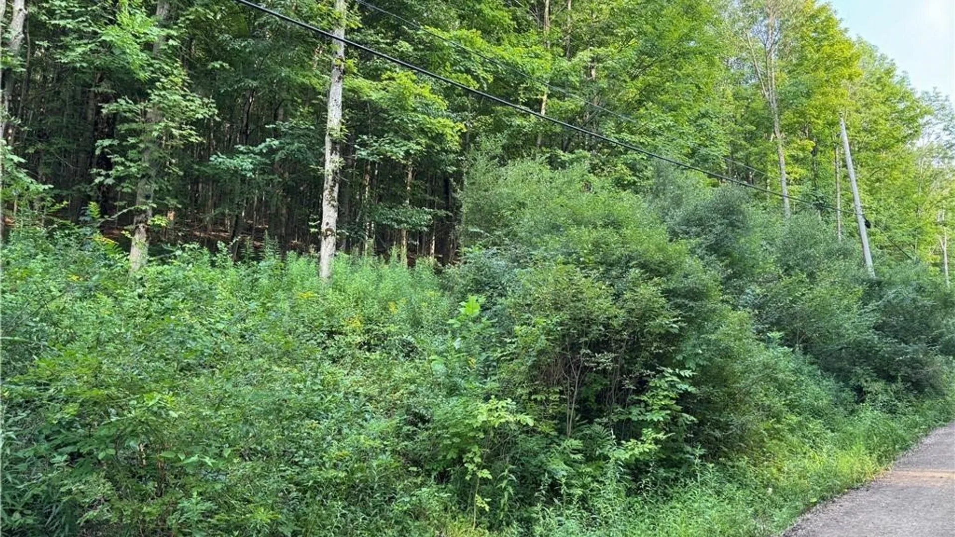 Property at 9 Creek Ridge Road, Ellicottville, NY 14731 13