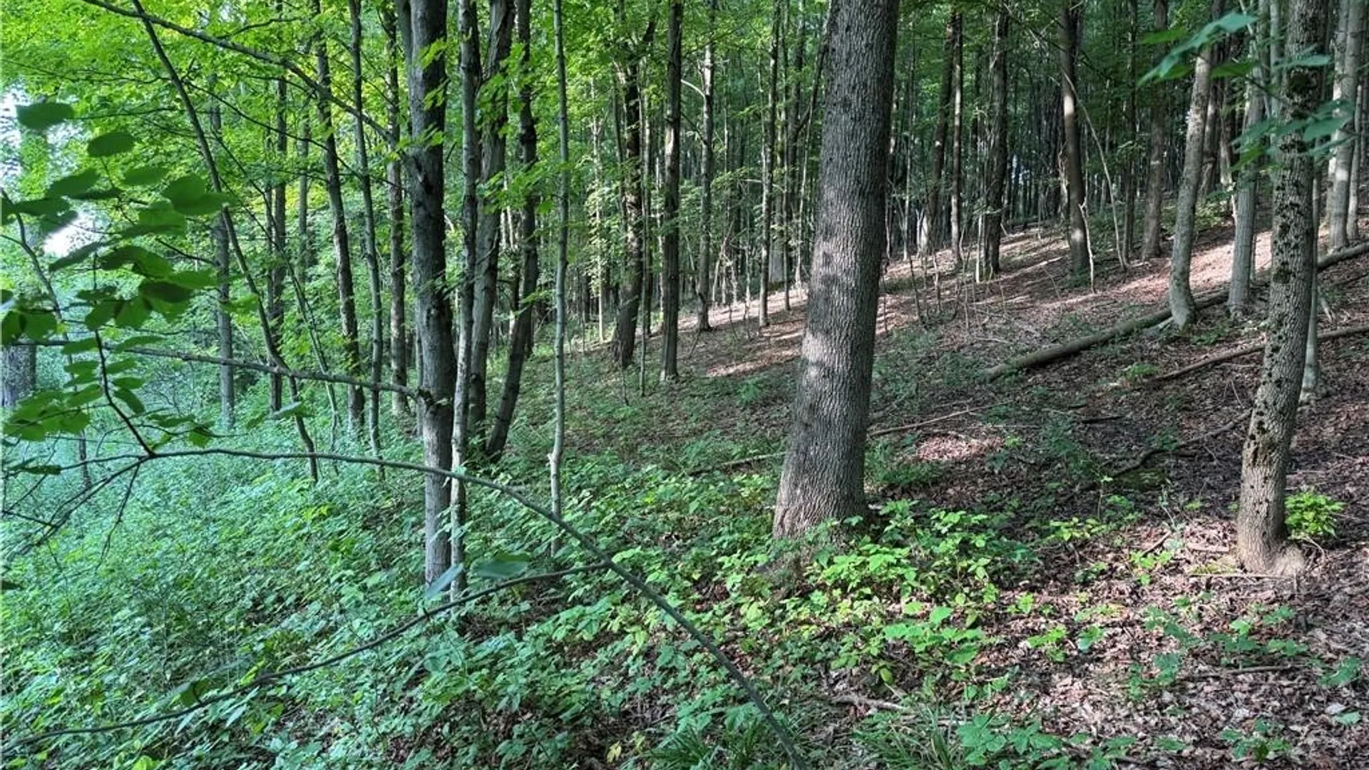 Property at 9 Creek Ridge Road, Ellicottville, NY 14731 14