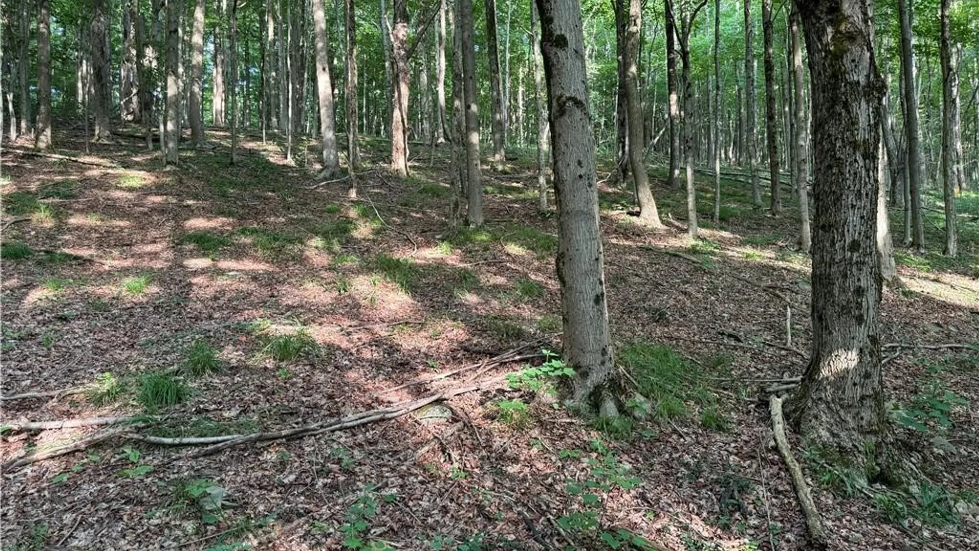 Property at 9 Creek Ridge Road, Ellicottville, NY 14731 20