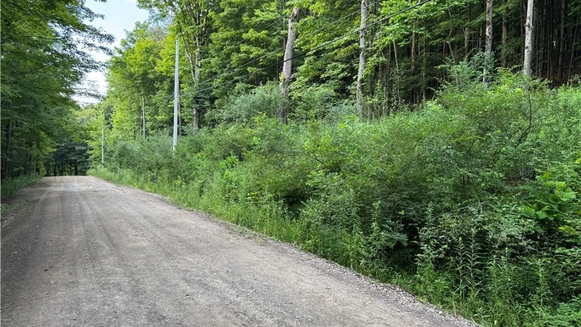 Property at 9 Creek Ridge Road, Ellicottville, NY 14731 6