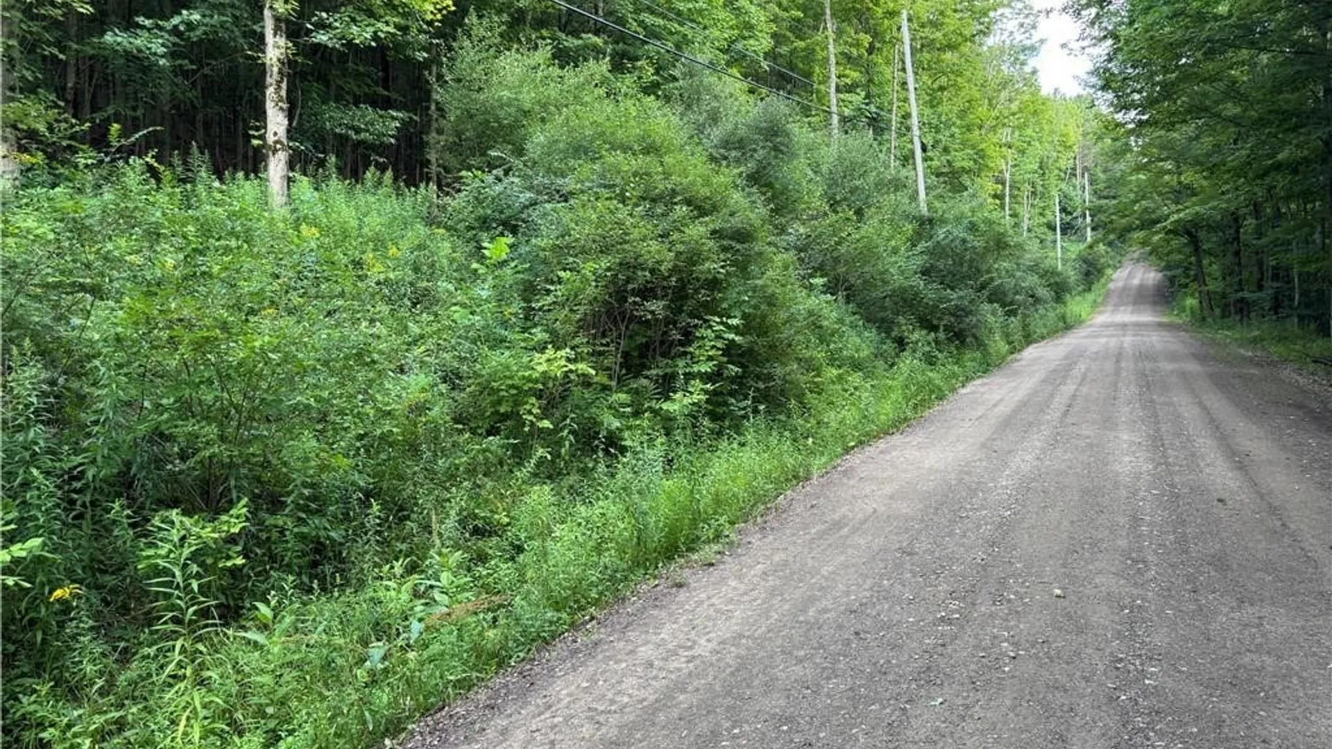 Property at 9 Creek Ridge Road, Ellicottville, NY 14731 7
