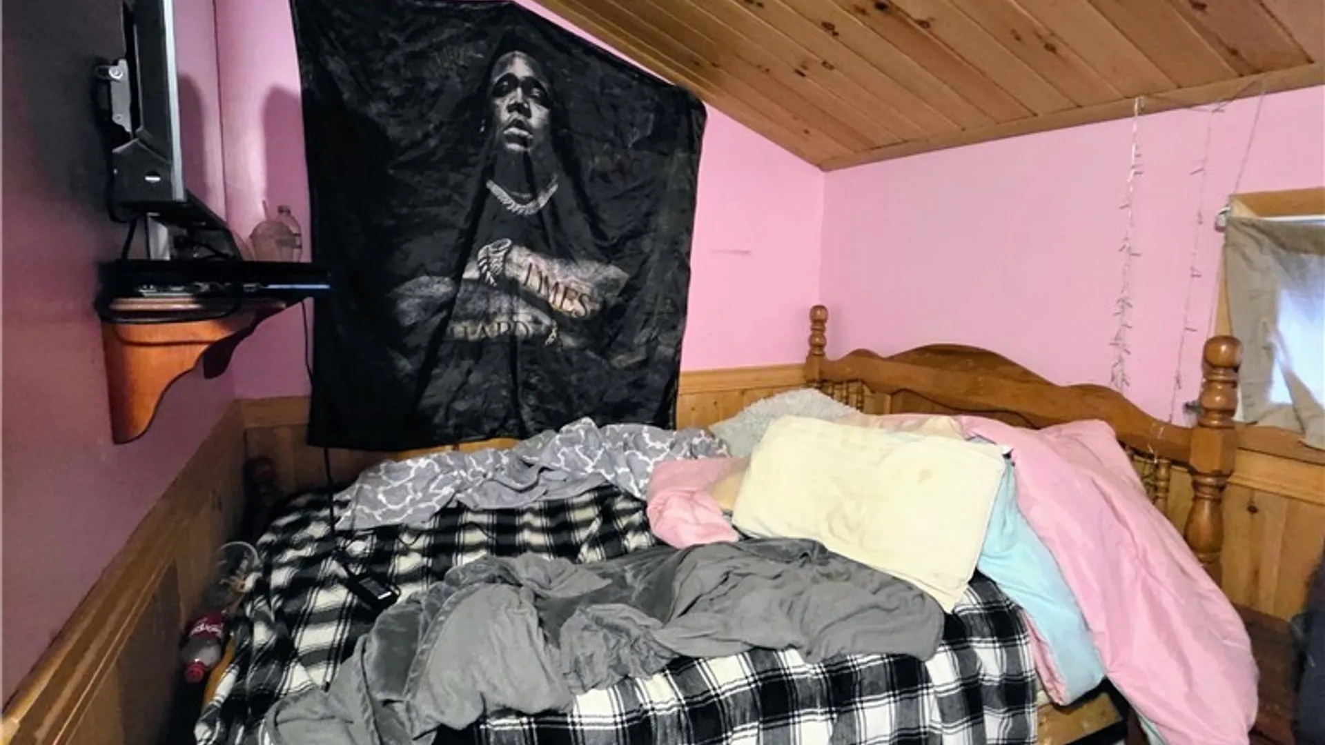 Property at 314 Park Avenue, Ridgeway, NY 14103 10