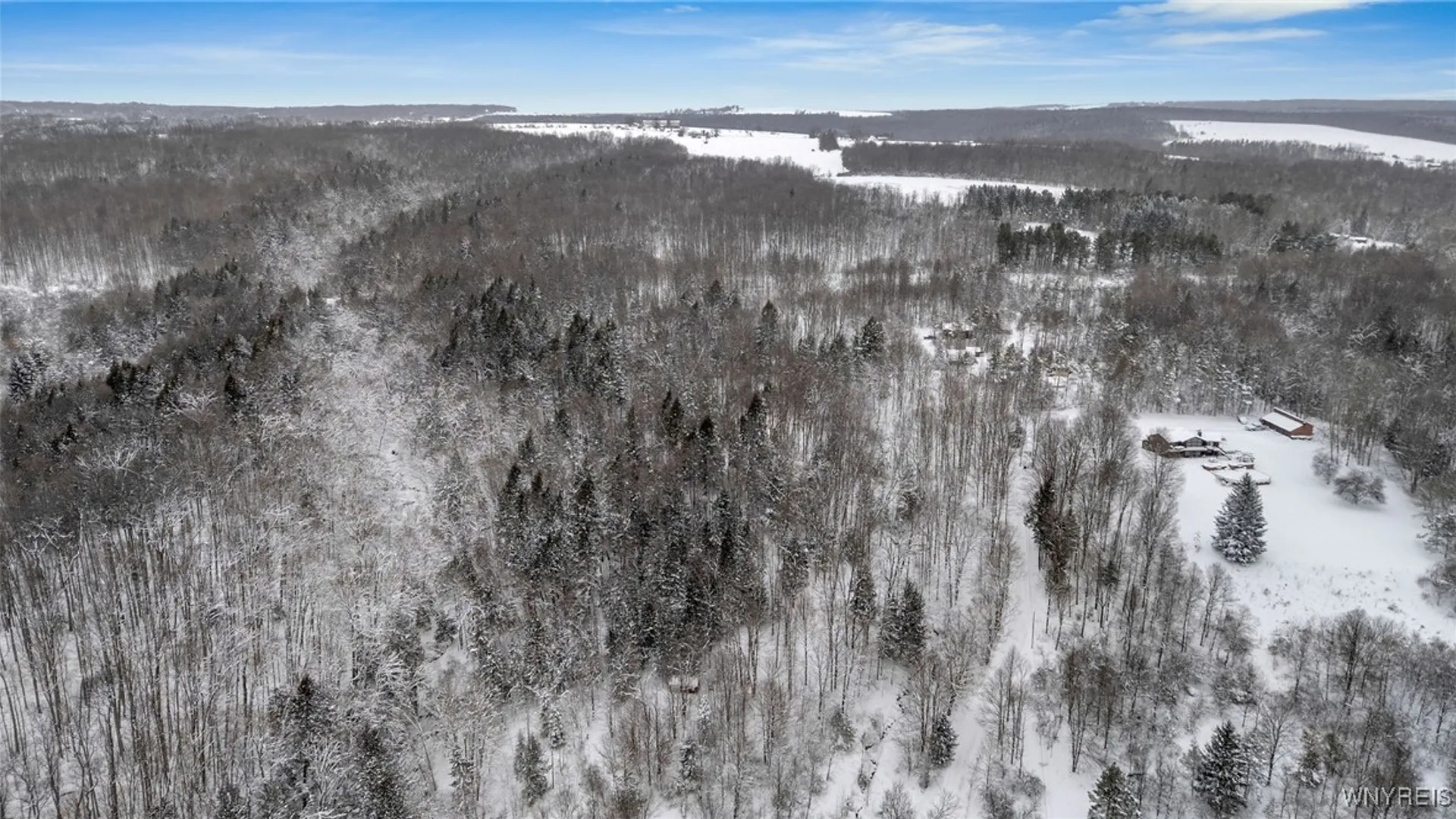 Property at 10448 Creek Road, Sardinia, NY 14134 6