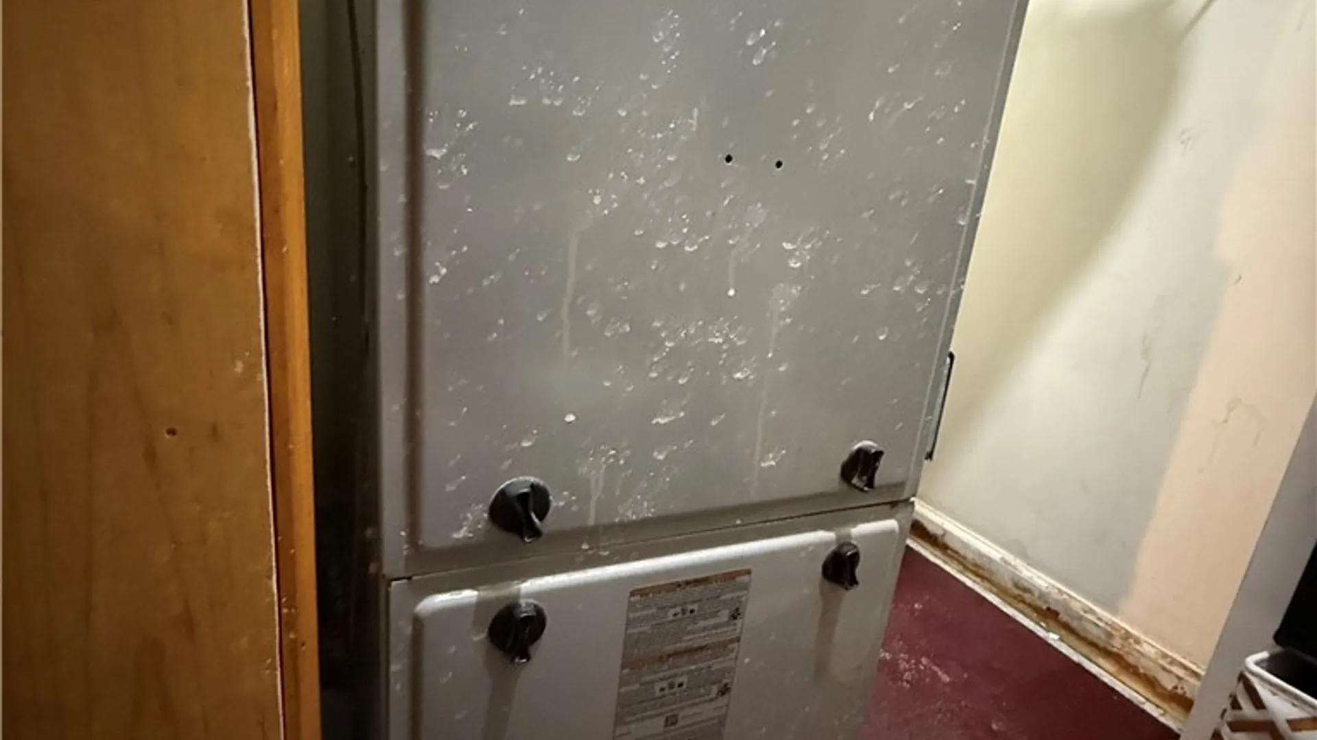 Property at 37 Davey Street, Buffalo, NY 14206 13