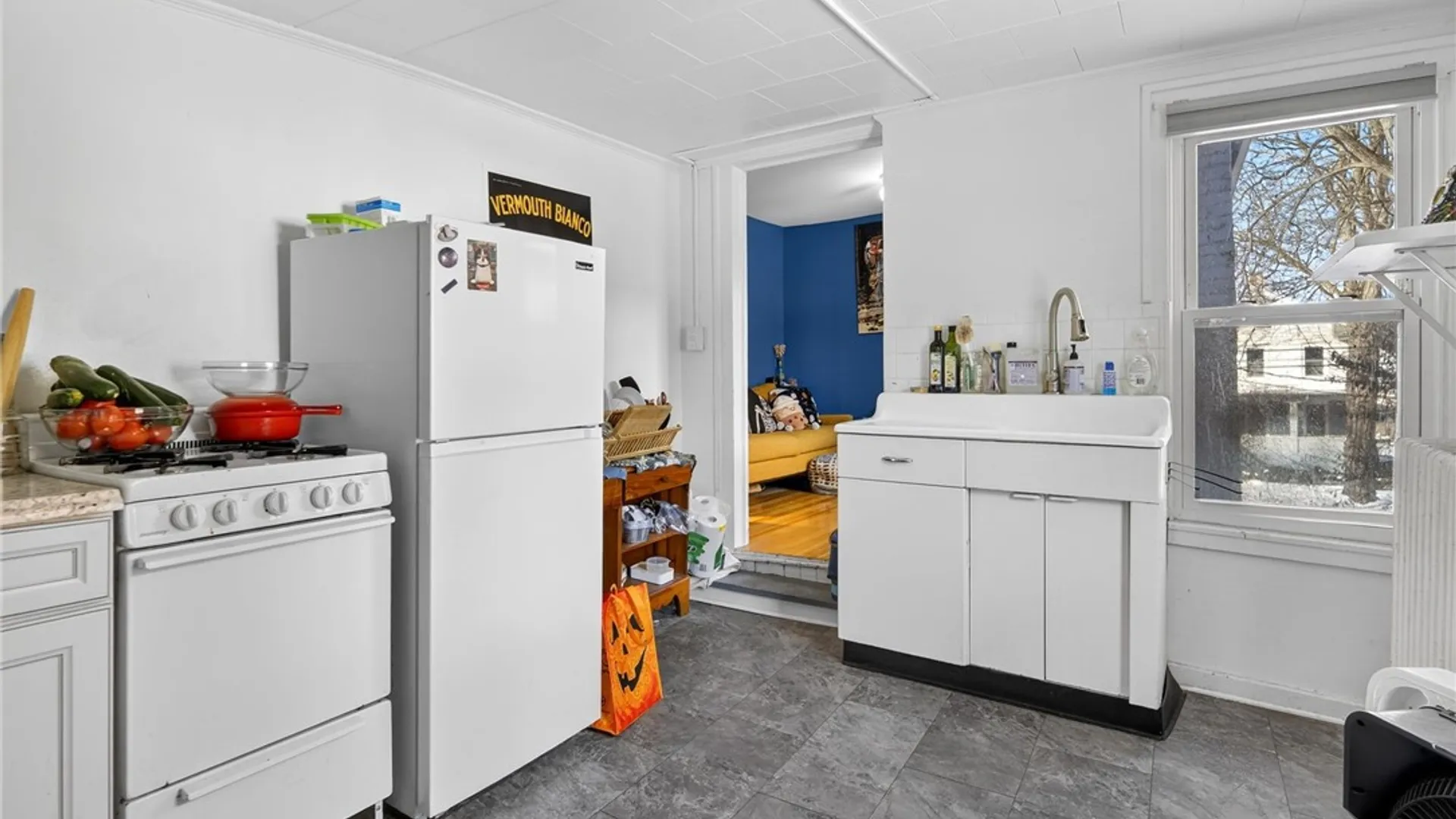 Property at 607 Cayuga Street, Ithaca City, NY 14850 6