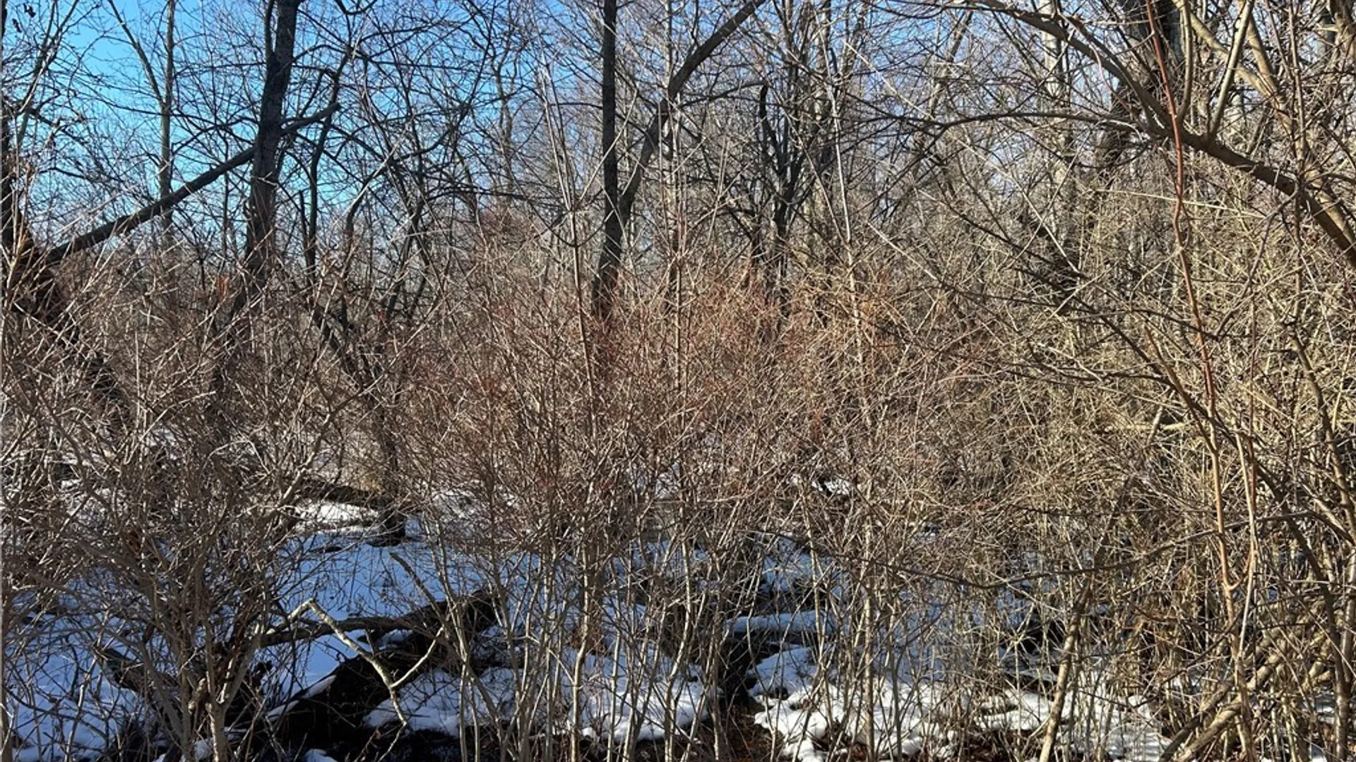 Property at 7336 Derby Road, Evans, NY 14047 5