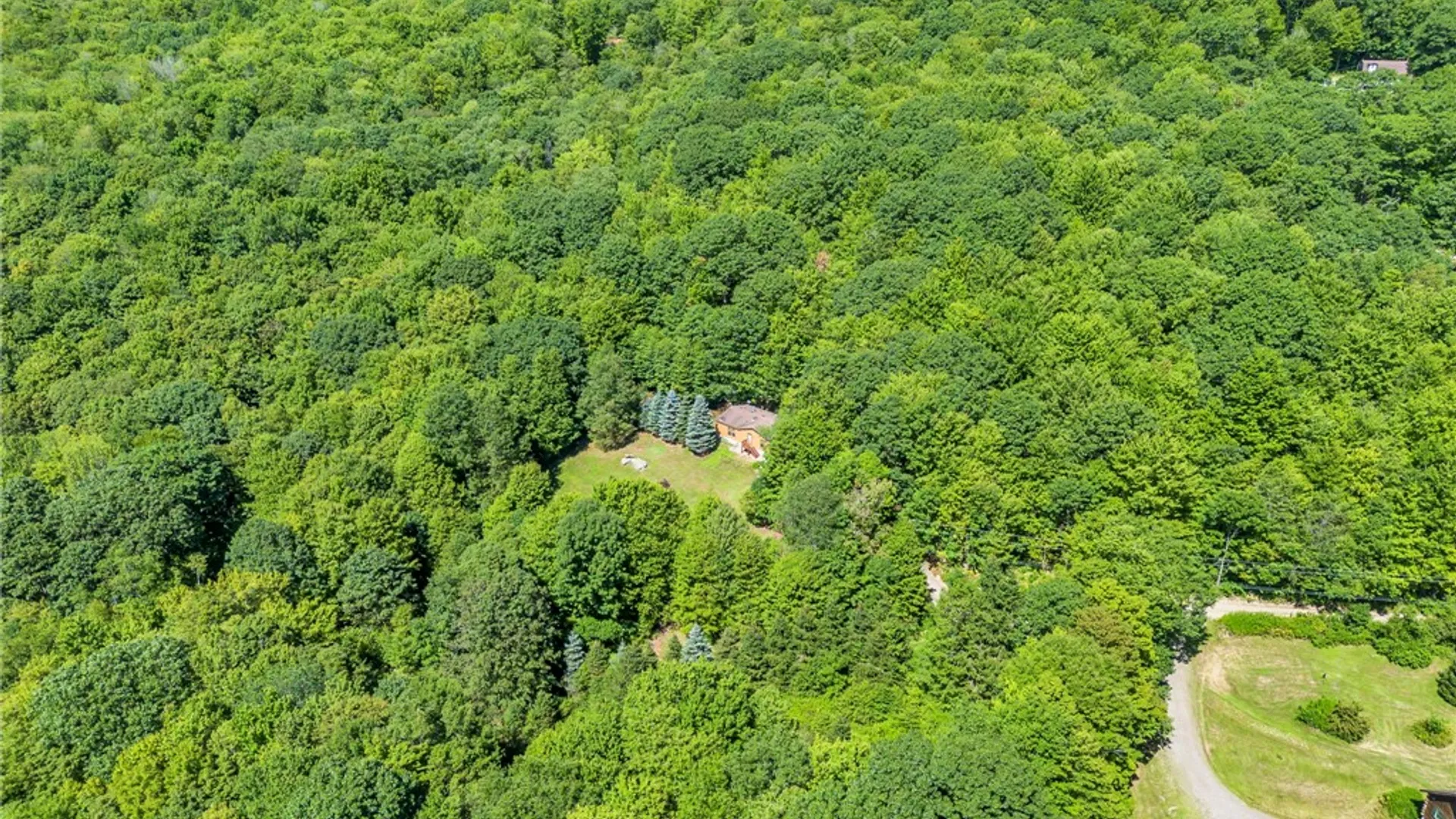 Property at 380 Bendzunas Road, Hamden, NY 13782 28