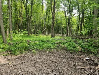 Property at Lake Shore Road, Evans, NY 14006