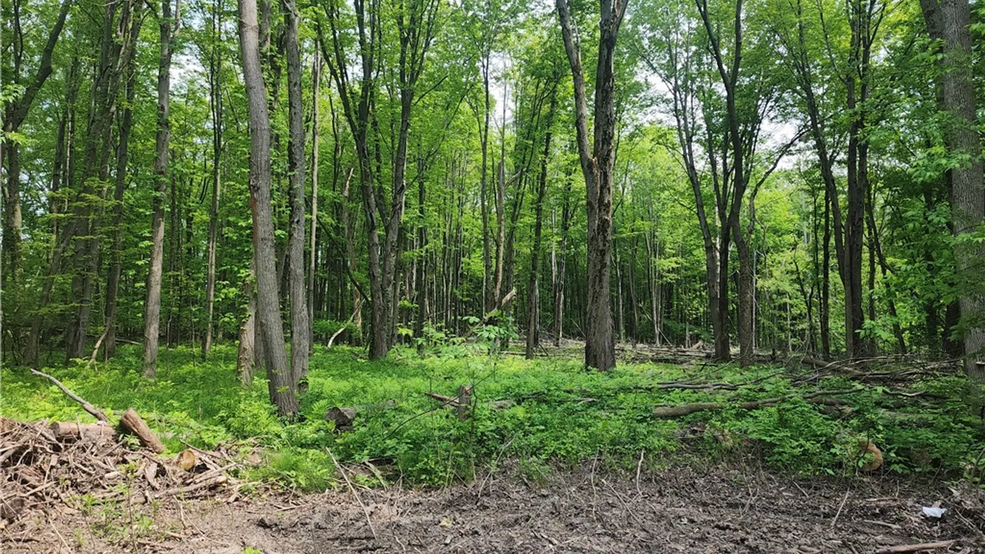 Property at Lake Shore Road, Evans, NY 14006 2