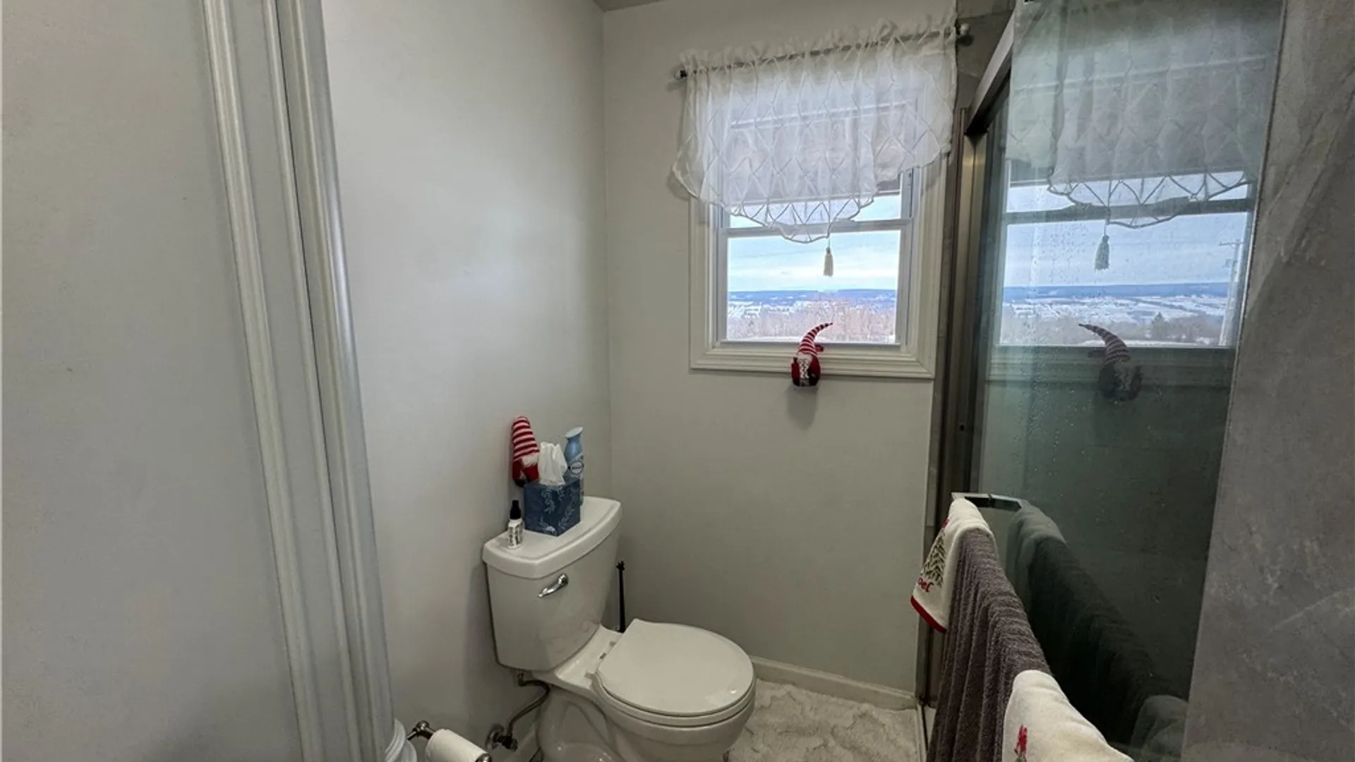 Property at 6132 Reading Road, Starkey, NY 14878 16