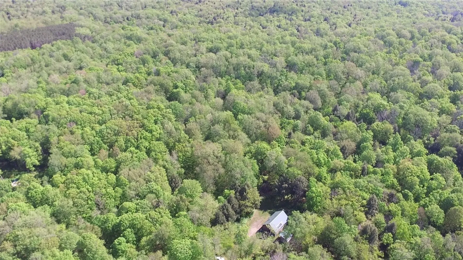 Property at 207 Cherry Lane, German, NY 13040 25