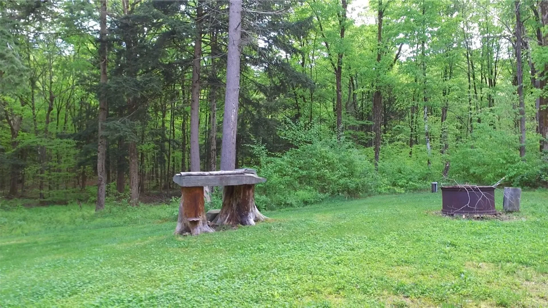 Property at 207 Cherry Lane, German, NY 13040 36