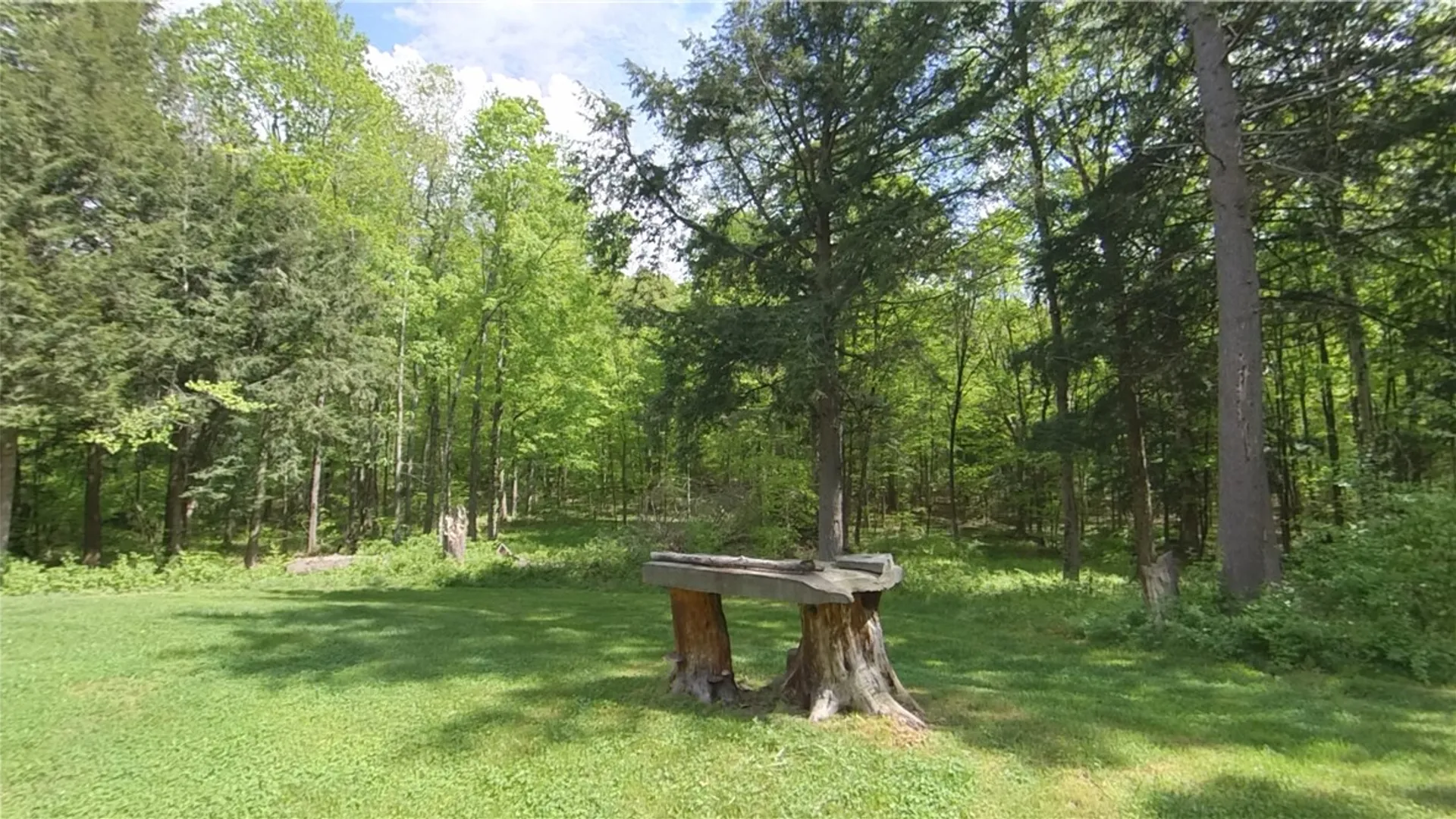 Property at 207 Cherry Lane, German, NY 13040 37