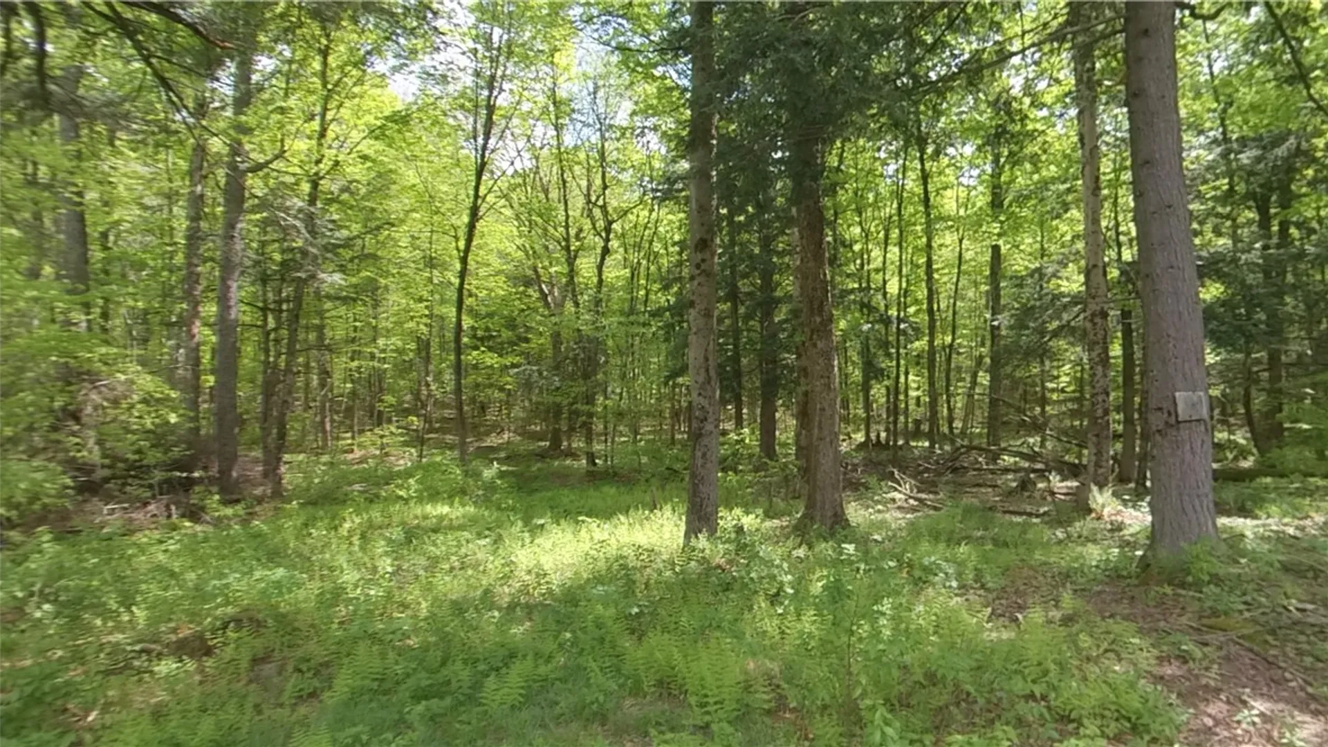 Property at 207 Cherry Lane, German, NY 13040 38