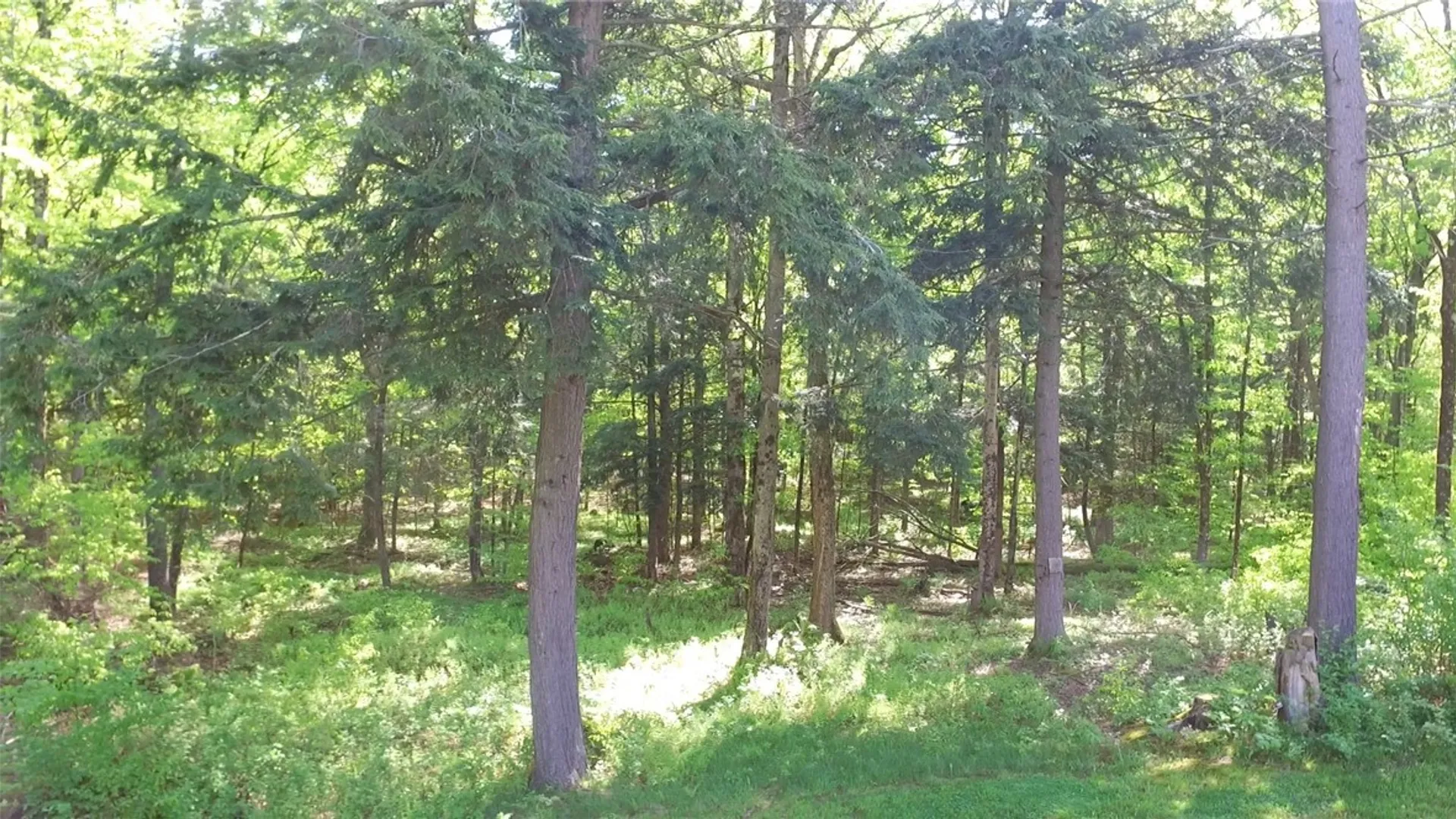 Property at 207 Cherry Lane, German, NY 13040 39