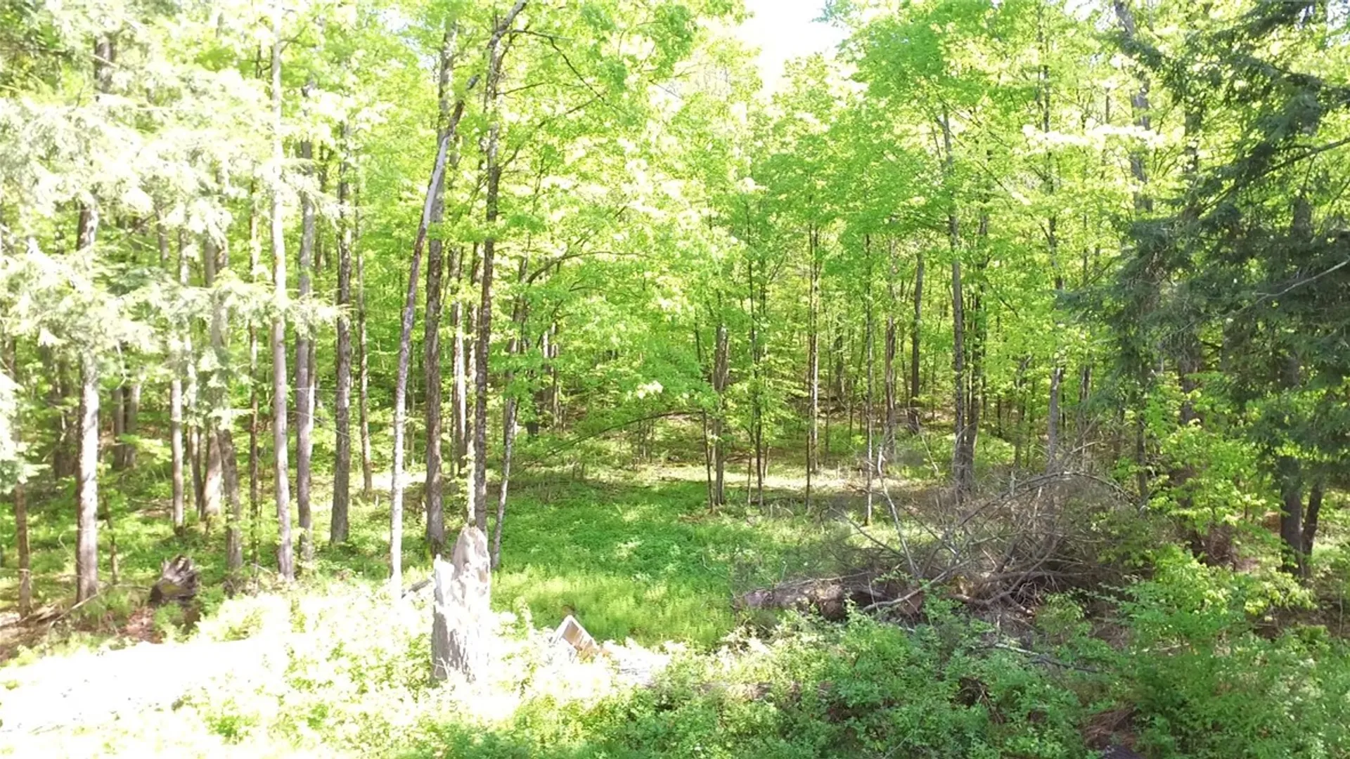 Property at 207 Cherry Lane, German, NY 13040 40