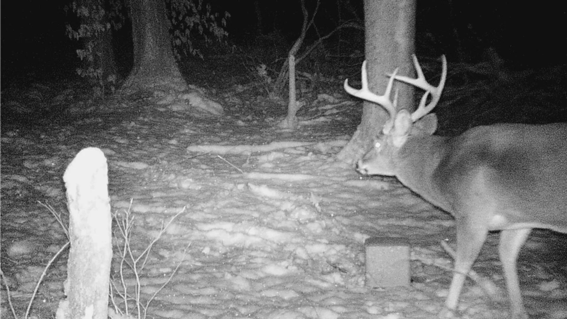 Property at 207 Cherry Lane, German, NY 13040 41