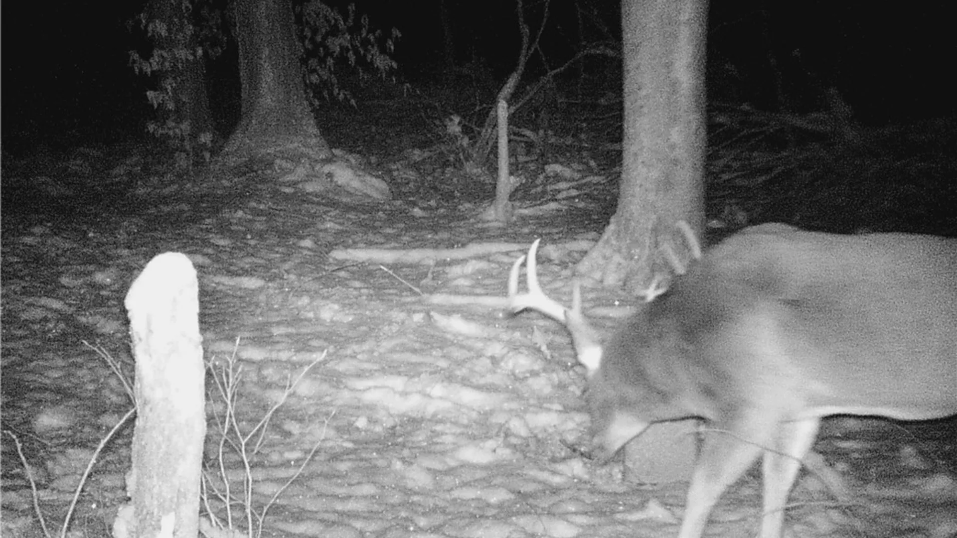 Property at 207 Cherry Lane, German, NY 13040 42