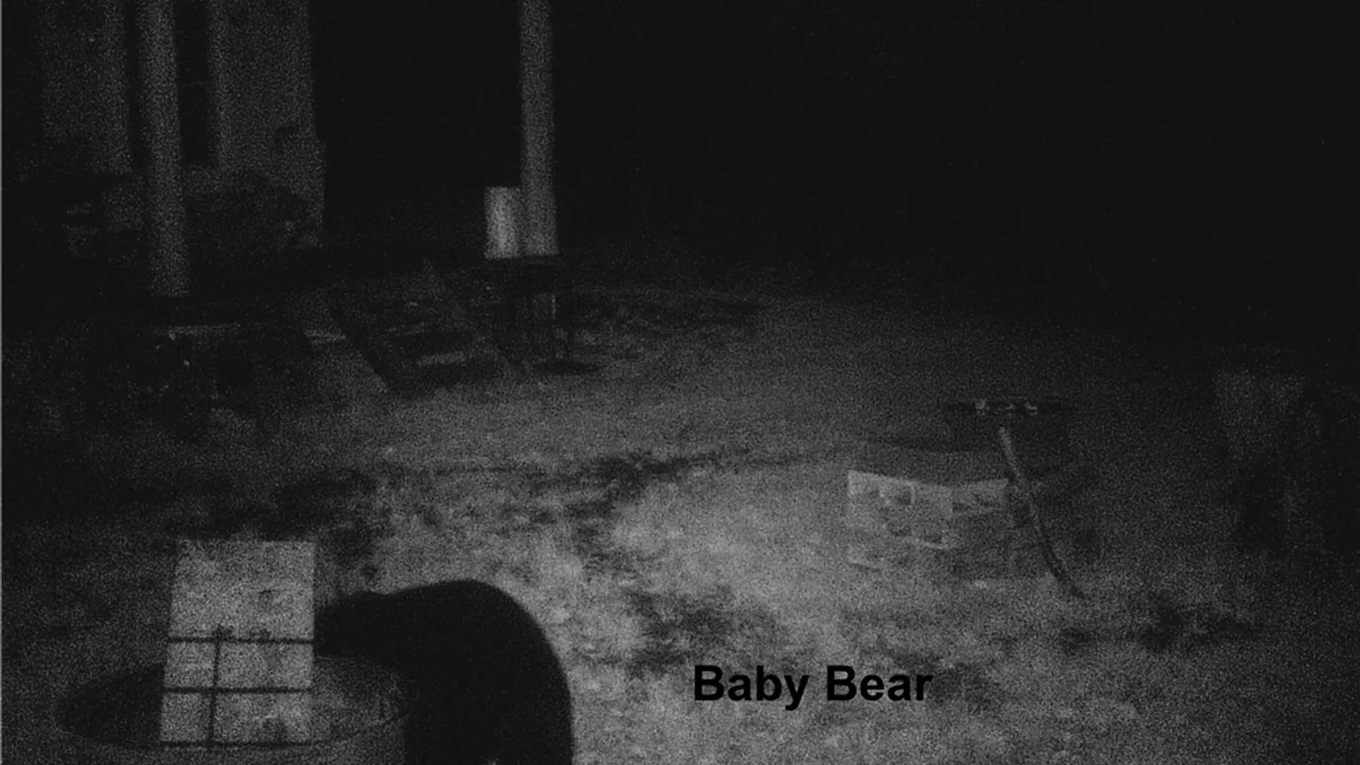 Property at 207 Cherry Lane, German, NY 13040 45