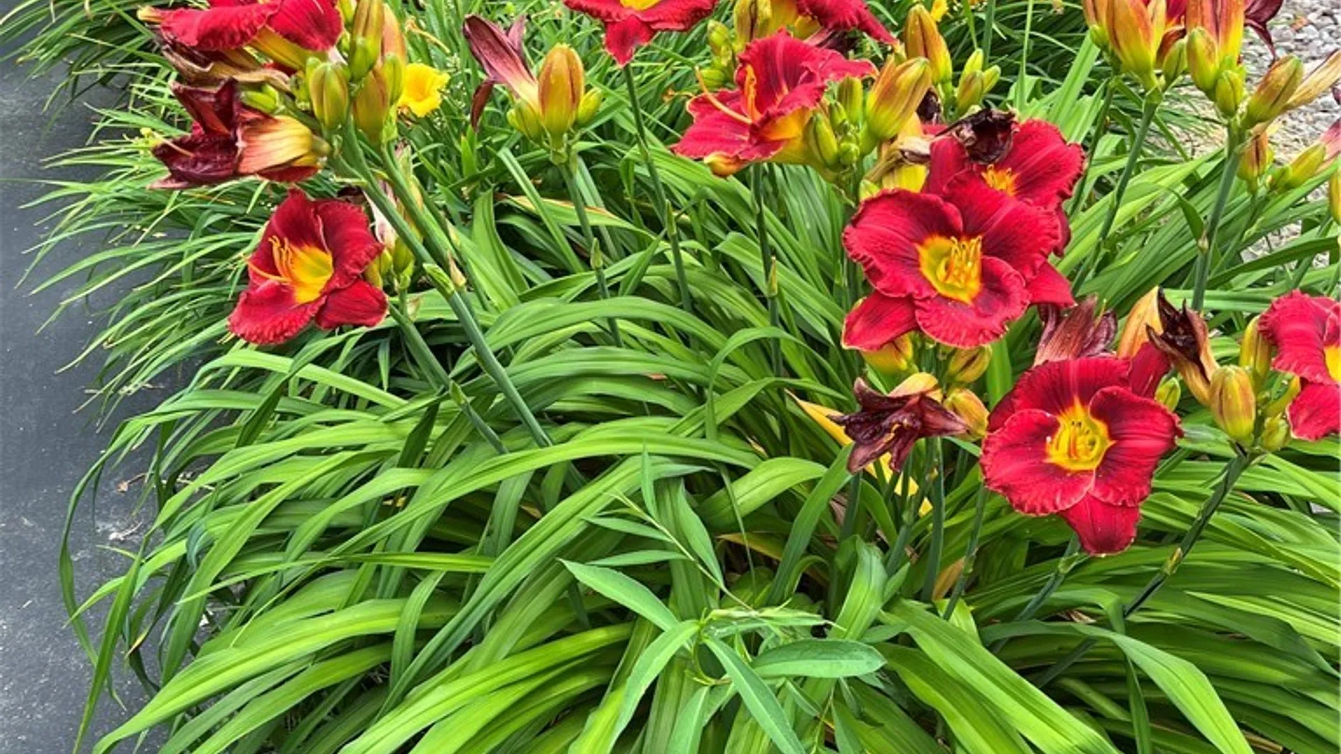 Property at 7353 Ward Road, Boston, NY 14127 7