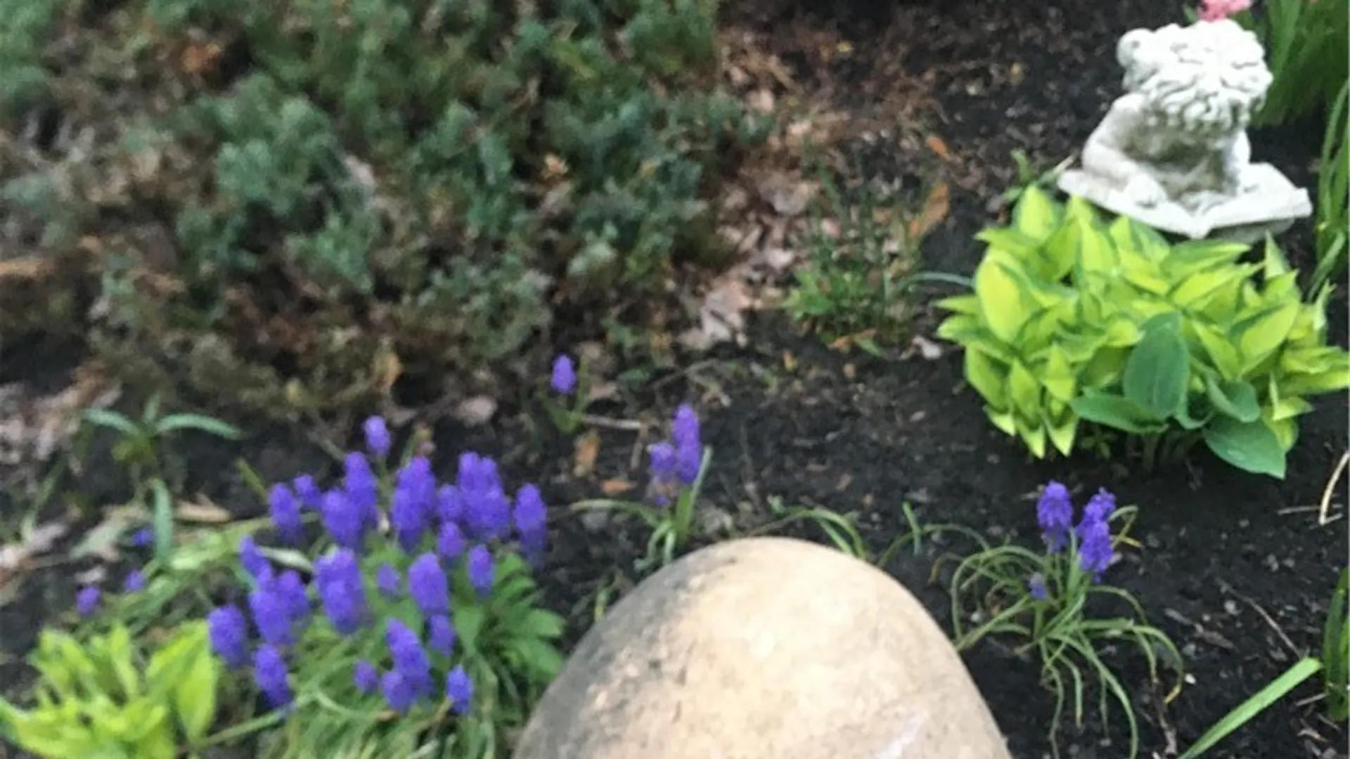 Property at 7353 Ward Road, Boston, NY 14127 8