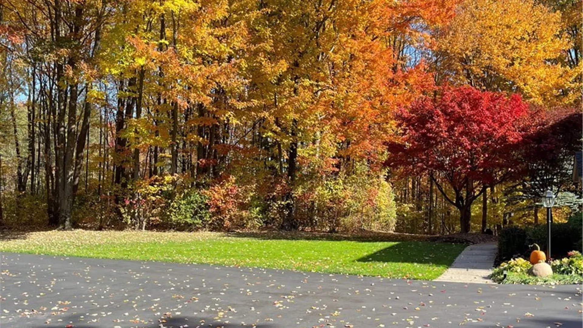 Property at 7353 Ward Road, Boston, NY 14127 9