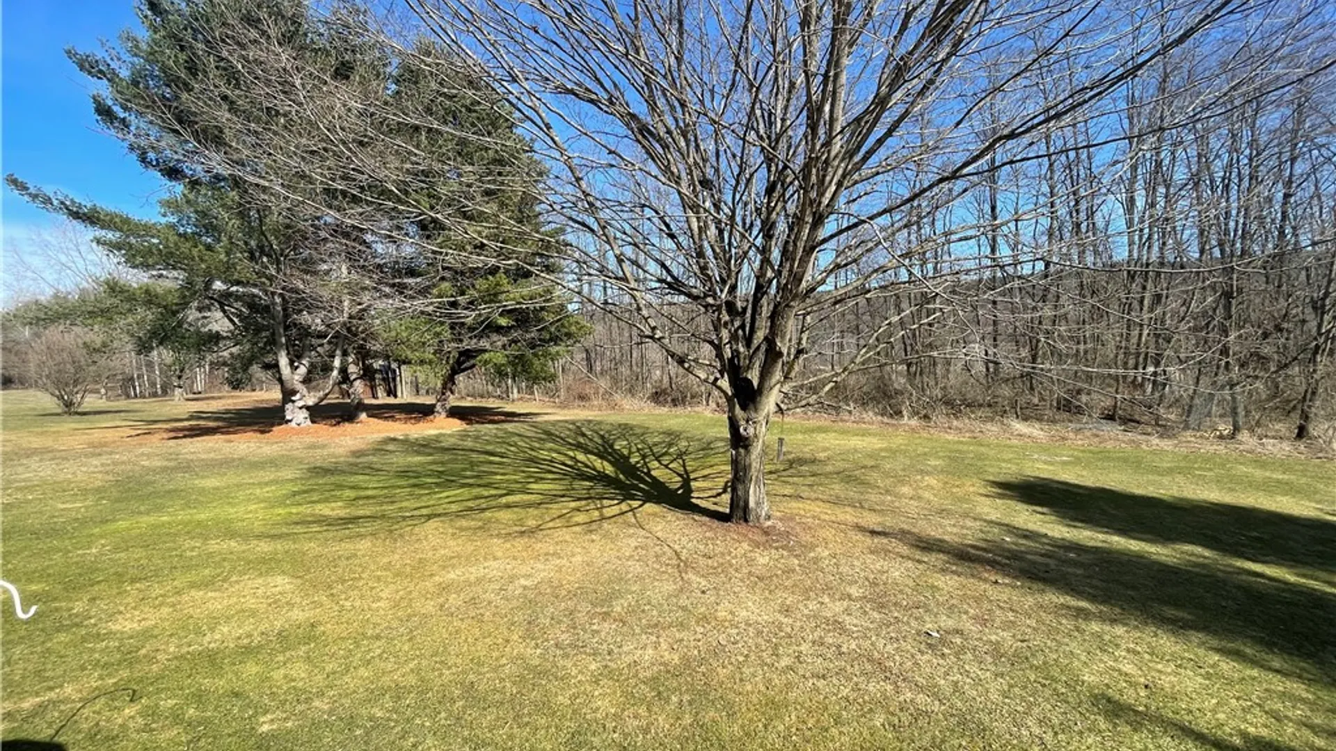 Property at 124 Cassie Drive, North Norwich, NY 13815 44