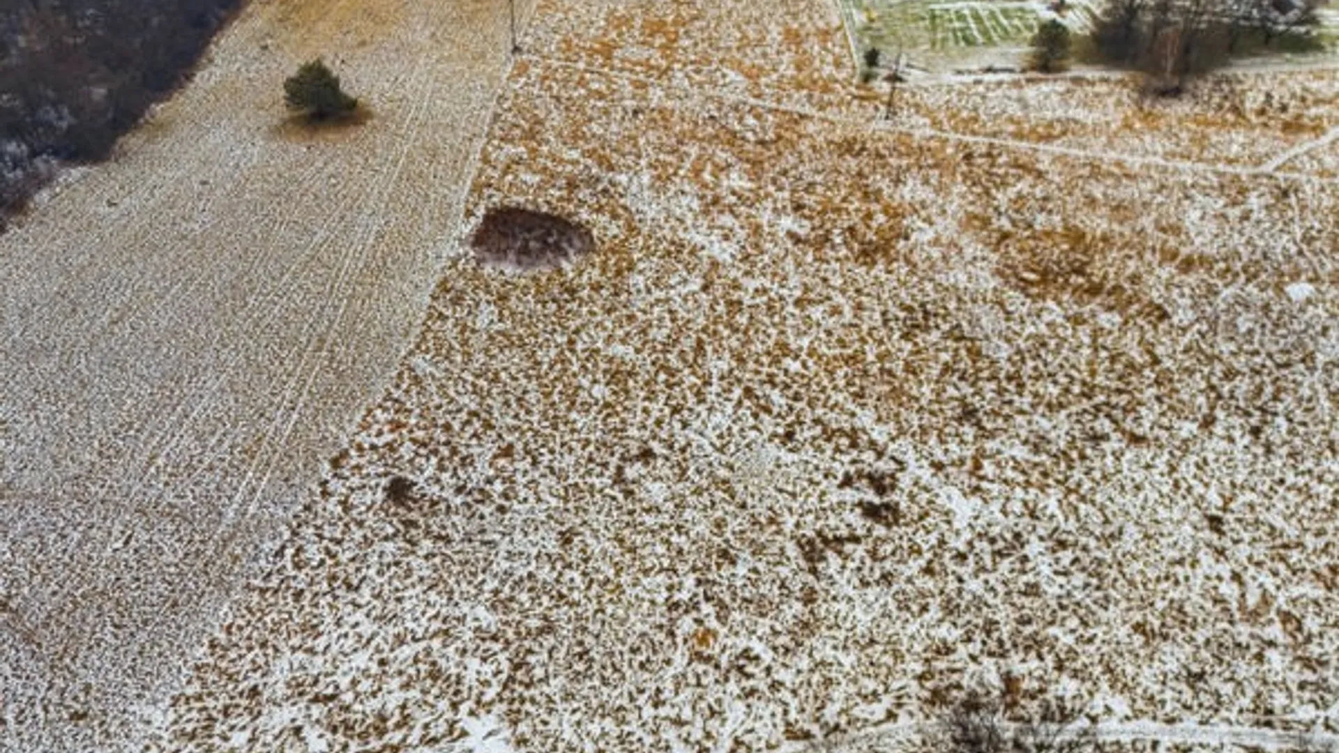 Property at Bankert, Phelps, NY 14432 2