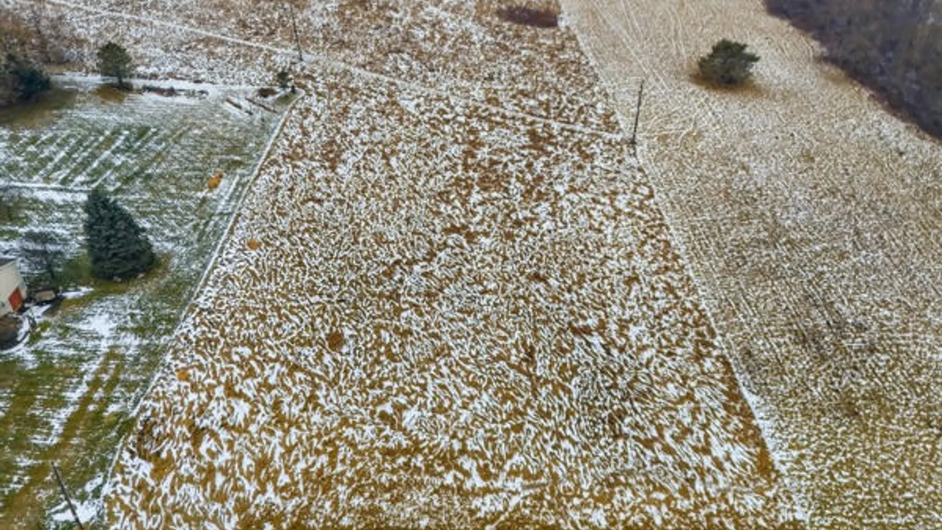 Property at Bankert, Phelps, NY 14432 3