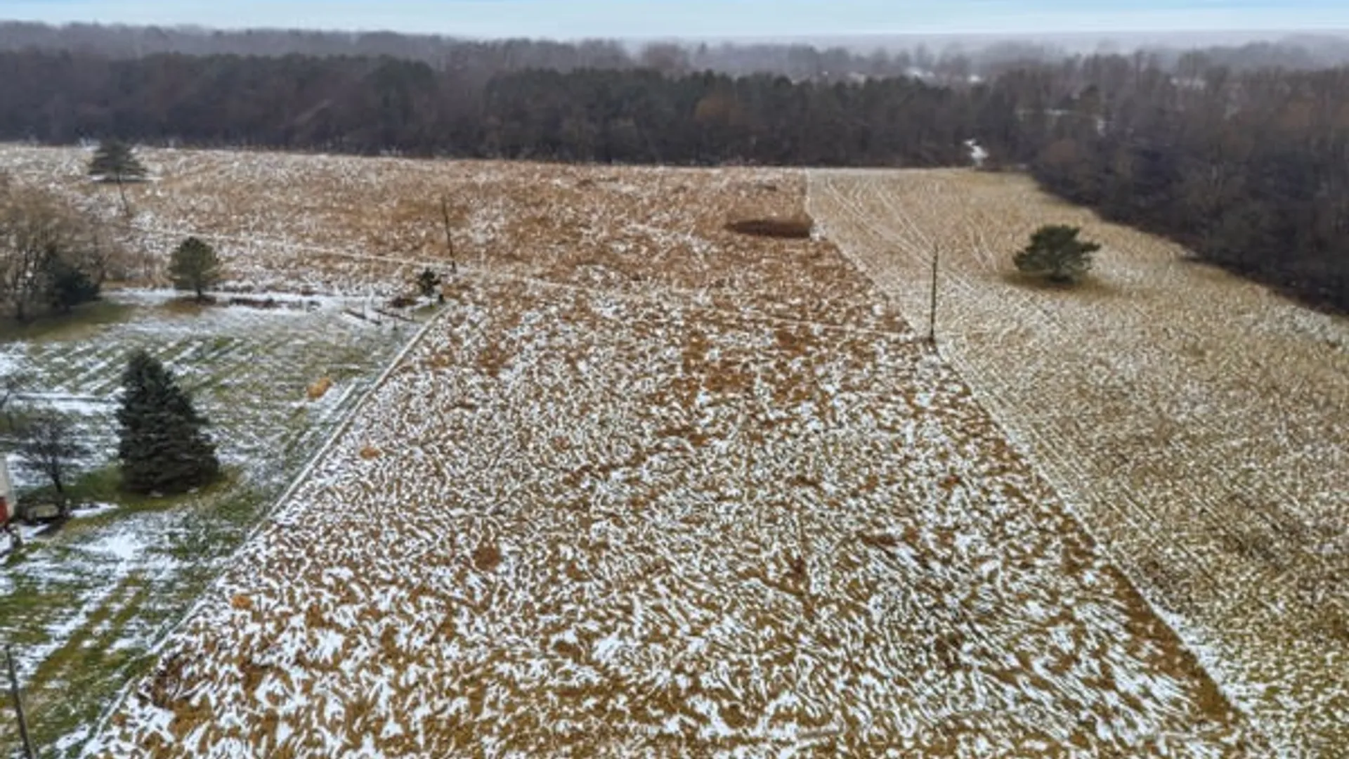 Property at Bankert, Phelps, NY 14432 6