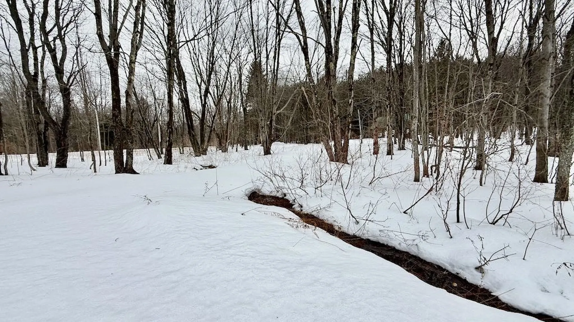 Property at 168 Carpenter Road, Orwell, NY 13144 39