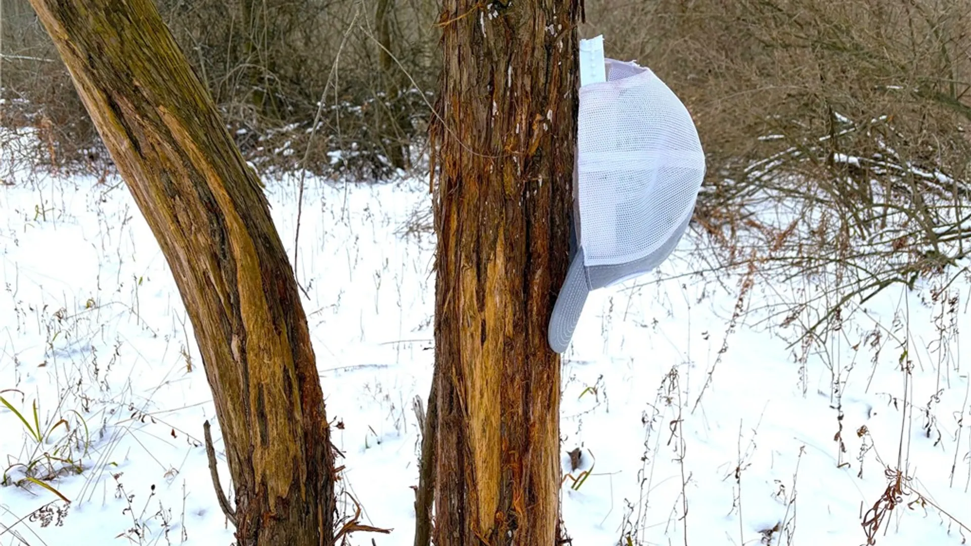 Property at 0 Johnson Creek, Somerset, NY 14012 15