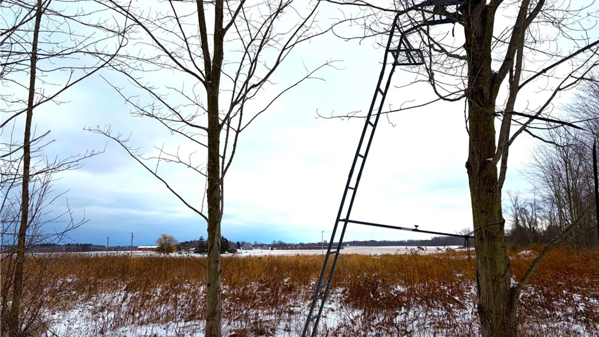 Property at 0 Johnson Creek, Somerset, NY 14012 16