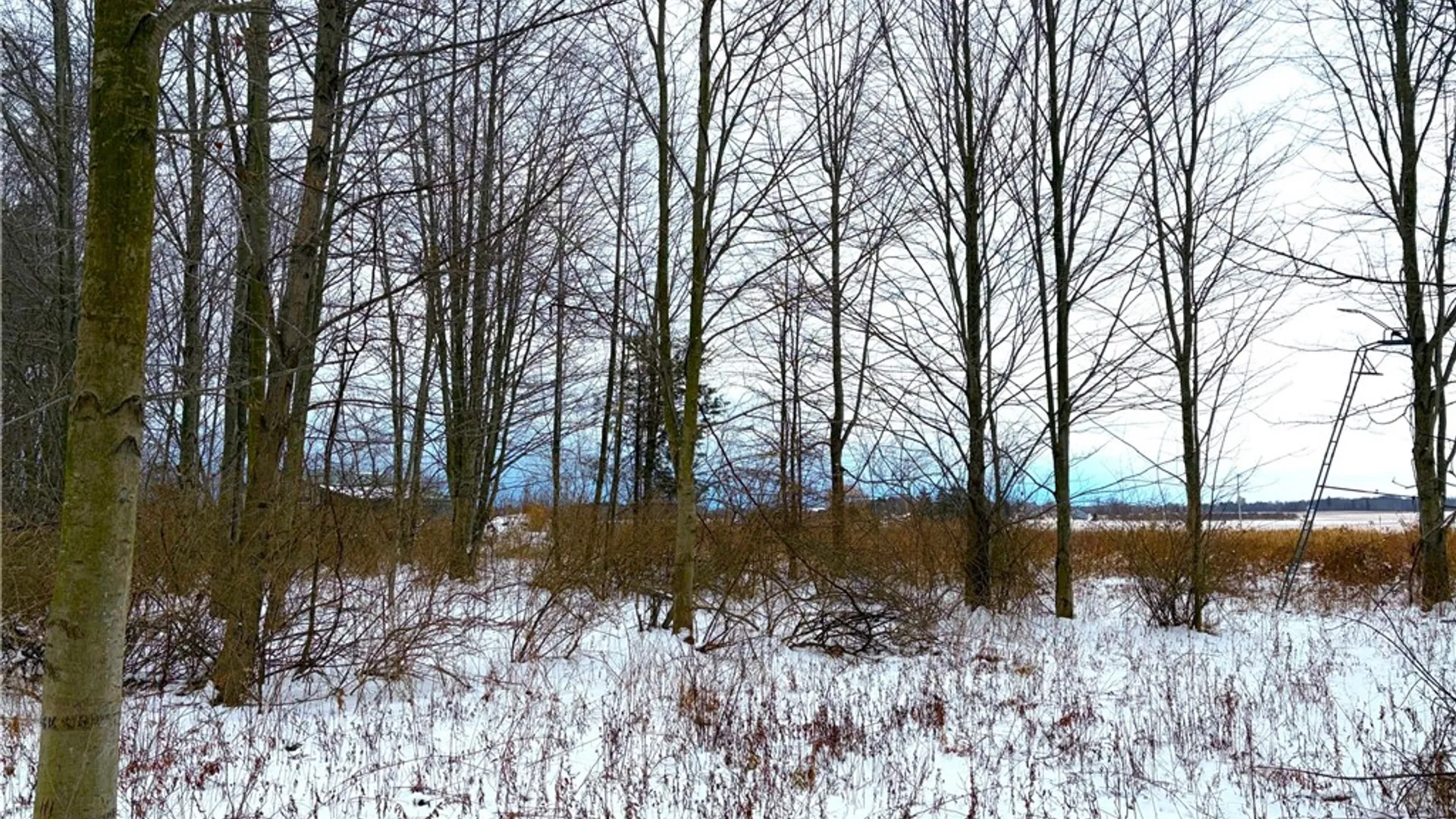 Property at 0 Johnson Creek, Somerset, NY 14012 17