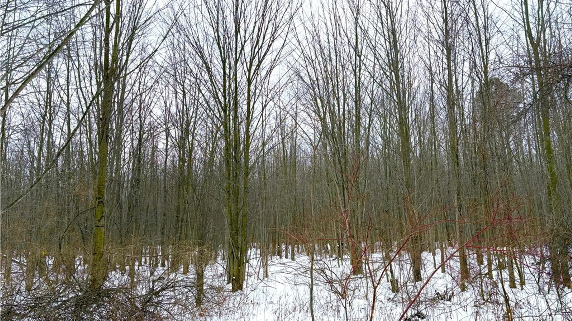 Property at 0 Johnson Creek, Somerset, NY 14012 19