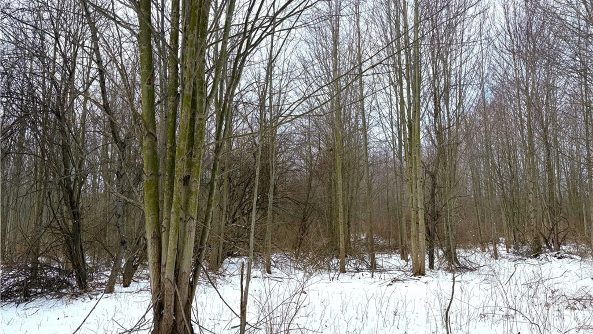 Property at 0 Johnson Creek, Somerset, NY 14012 20