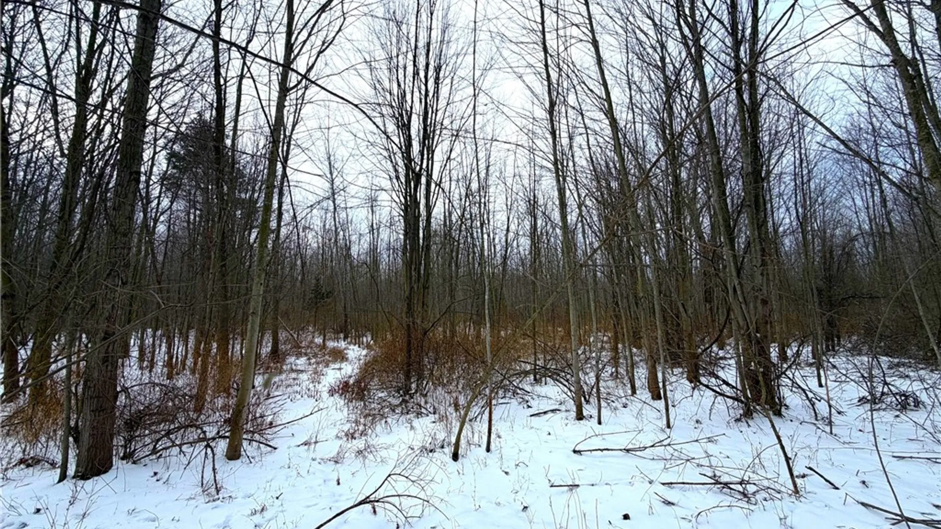 Property at 0 Johnson Creek, Somerset, NY 14012 21