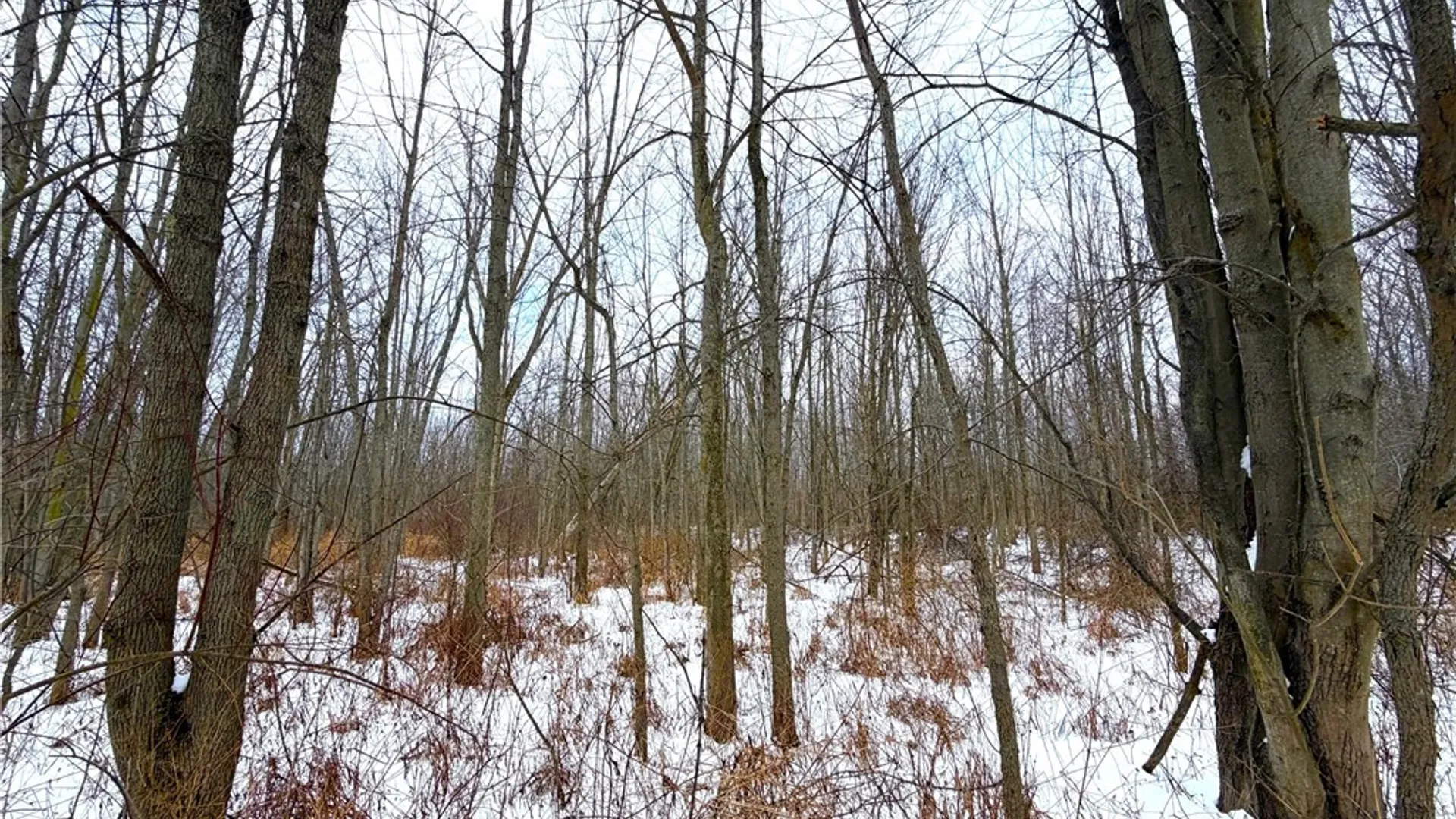Property at 0 Johnson Creek, Somerset, NY 14012 22