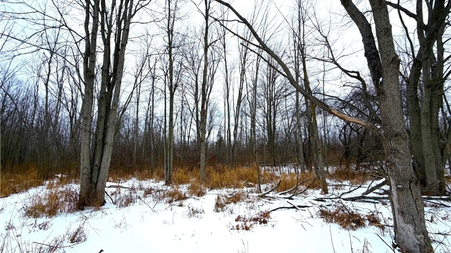 Property at 0 Johnson Creek, Somerset, NY 14012 27