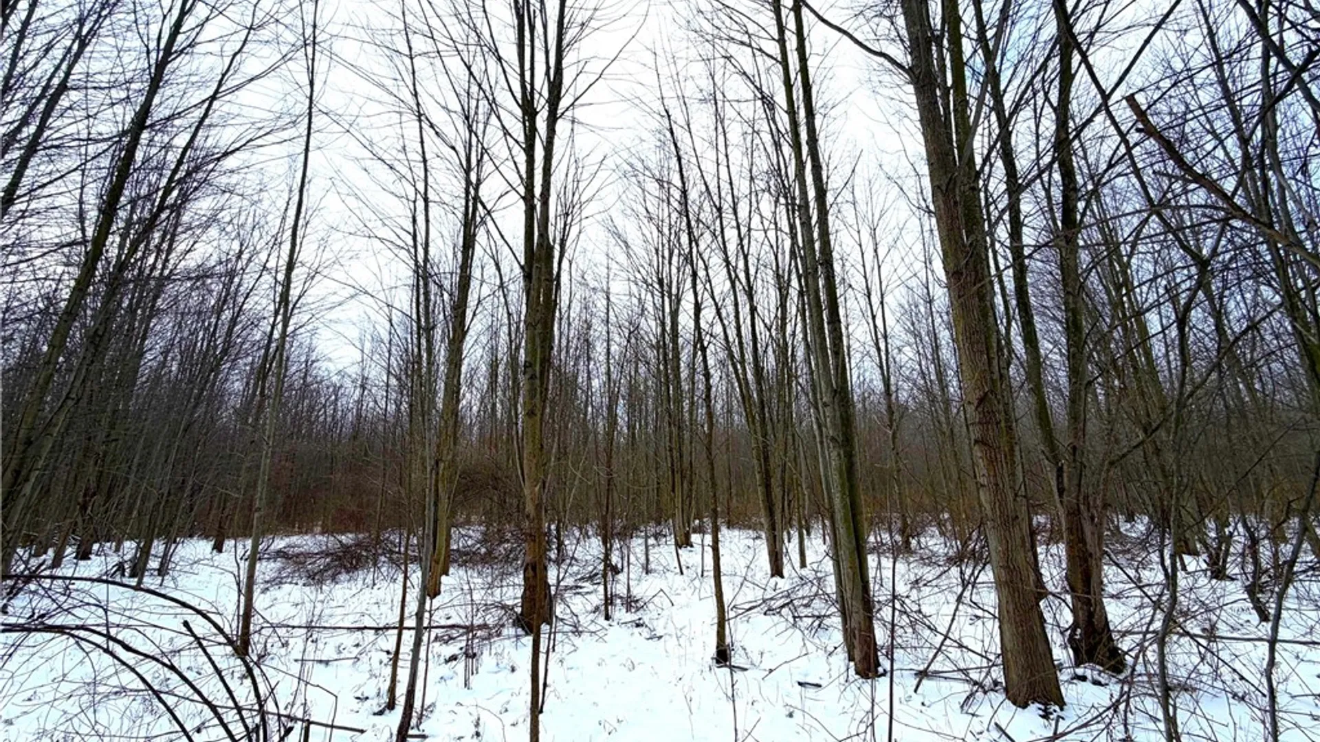 Property at 0 Johnson Creek, Somerset, NY 14012 28