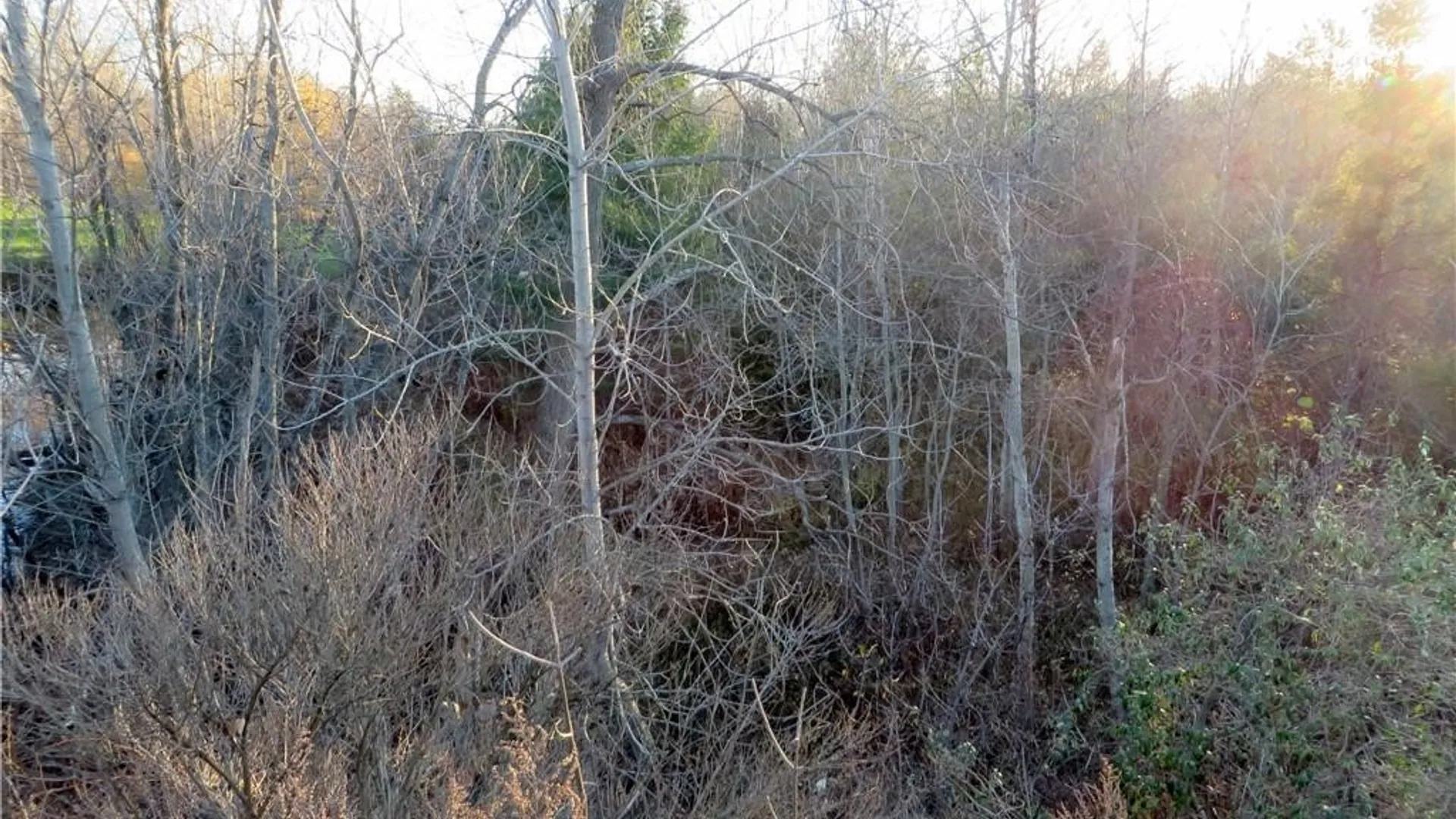 Property at 5600 Clinton Street, Elma, NY 14059 10