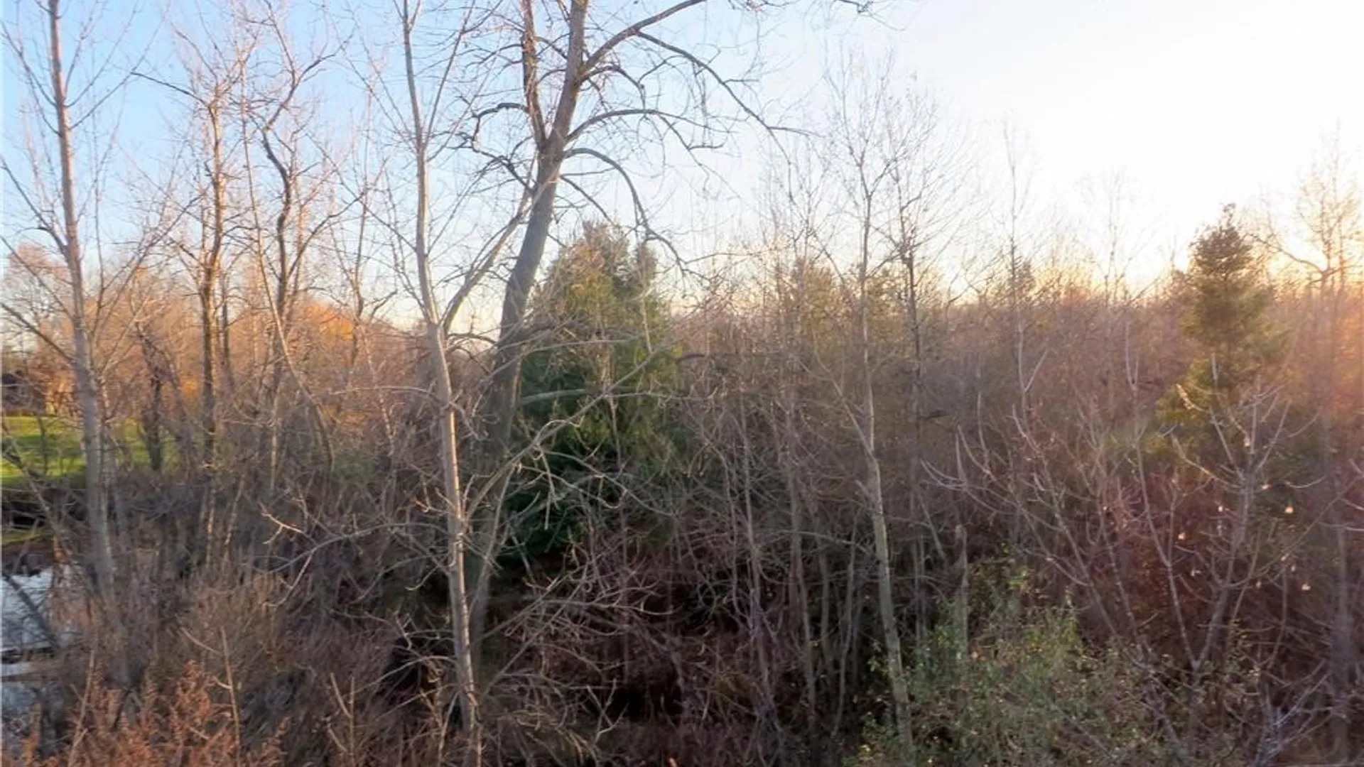 Property at 5600 Clinton Street, Elma, NY 14059 12