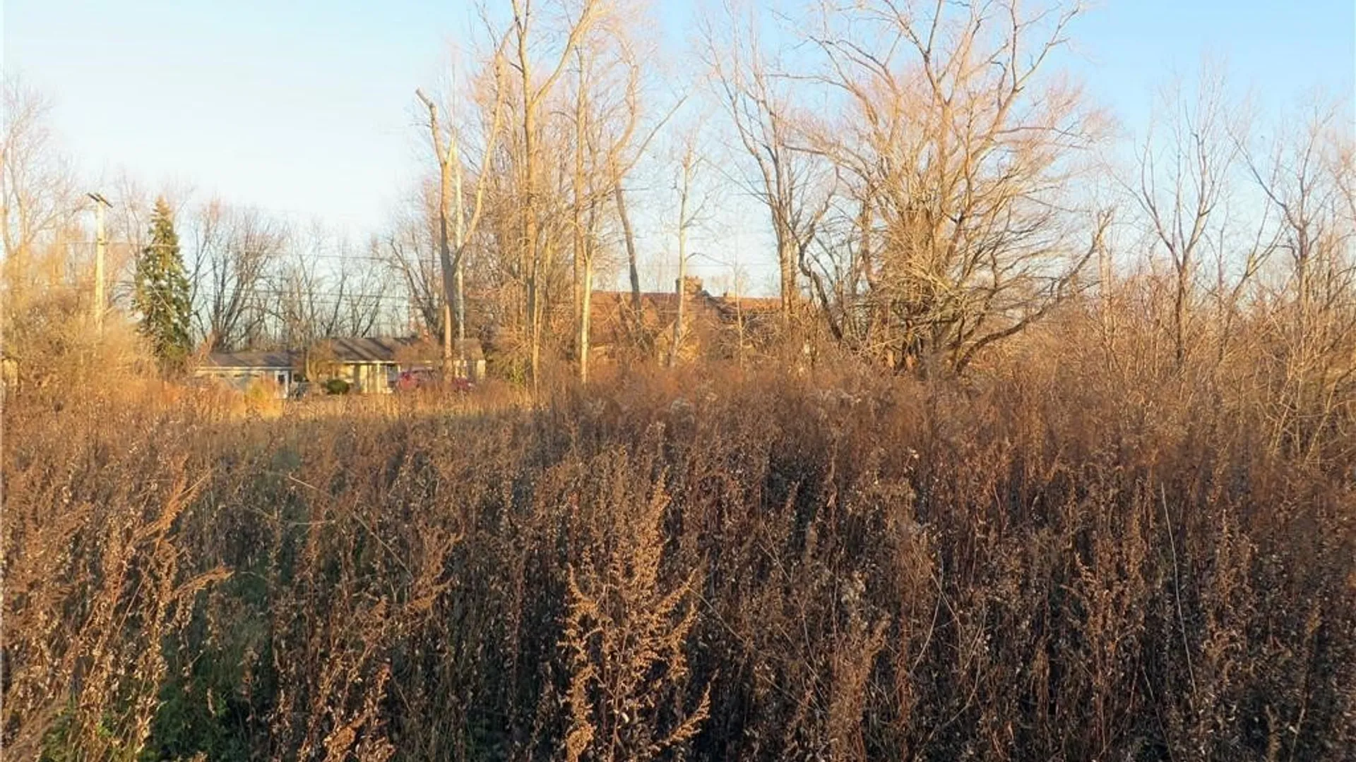 Property at 5600 Clinton Street, Elma, NY 14059 13