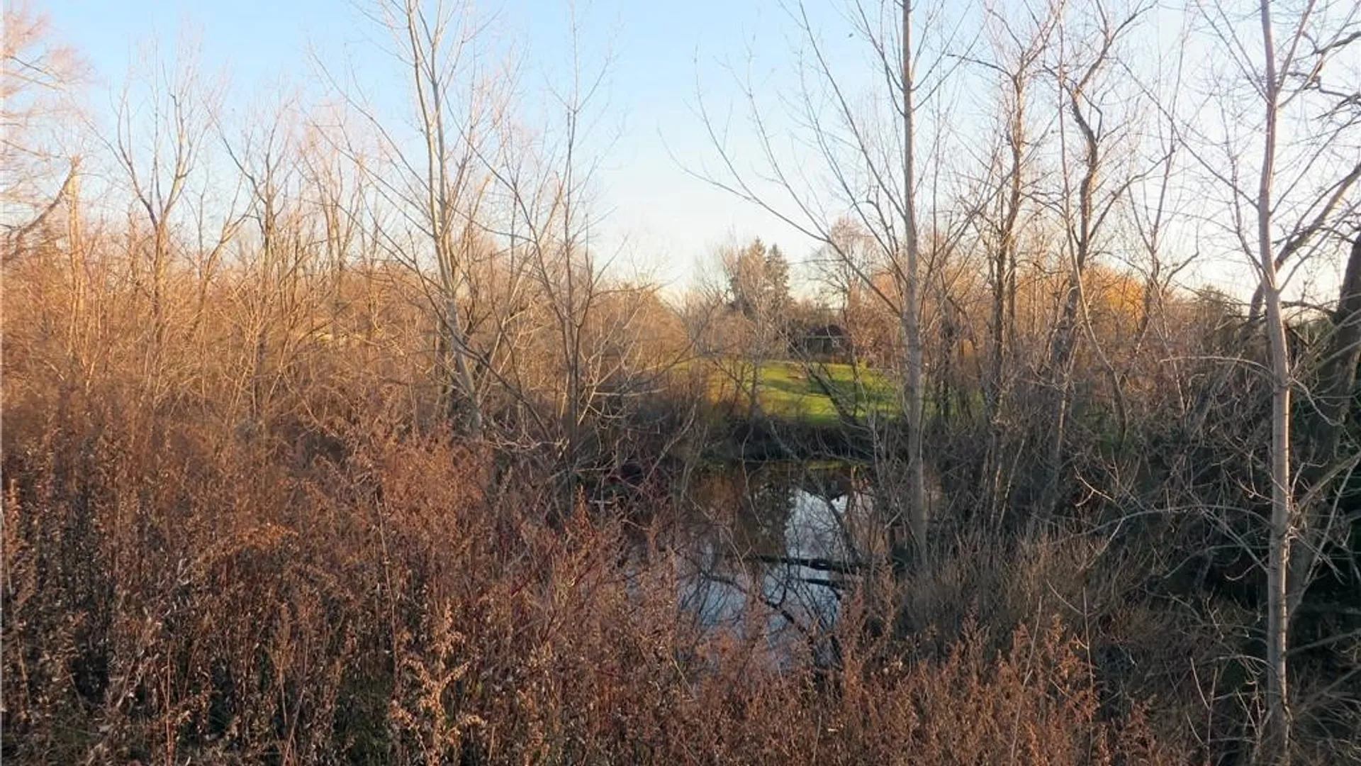 Property at 5600 Clinton Street, Elma, NY 14059 14